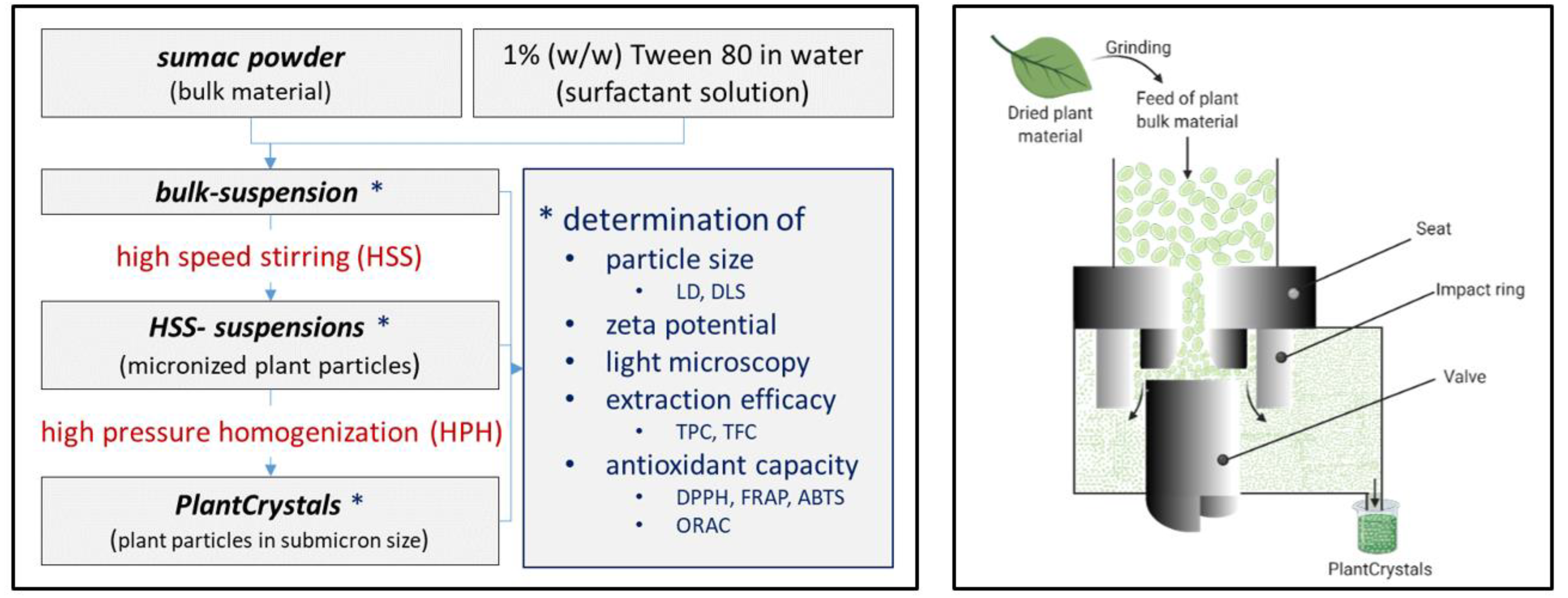 Plants 10 01051 g008