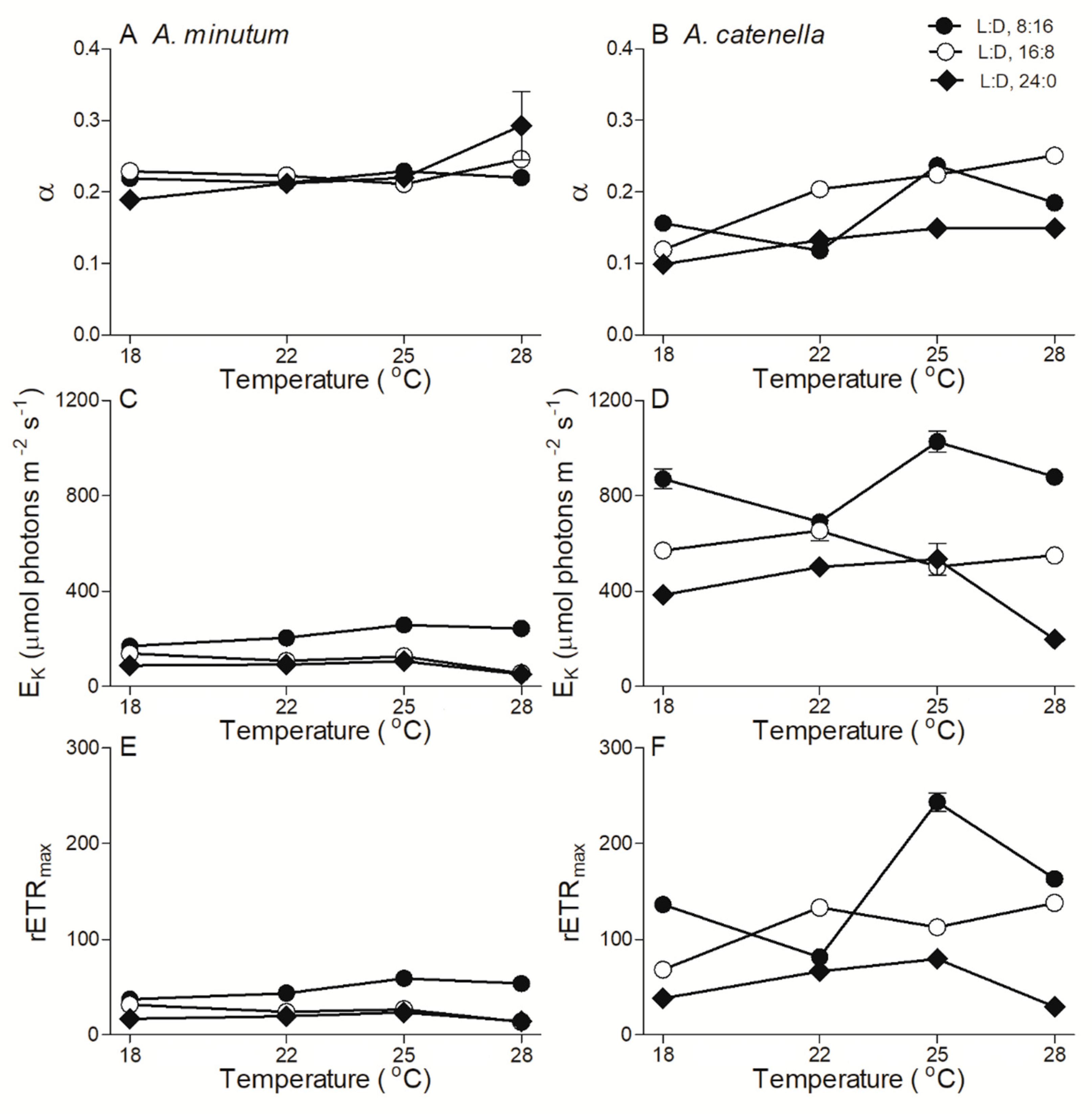 Plants 10 01056 g004 Plants 10 01056 g004