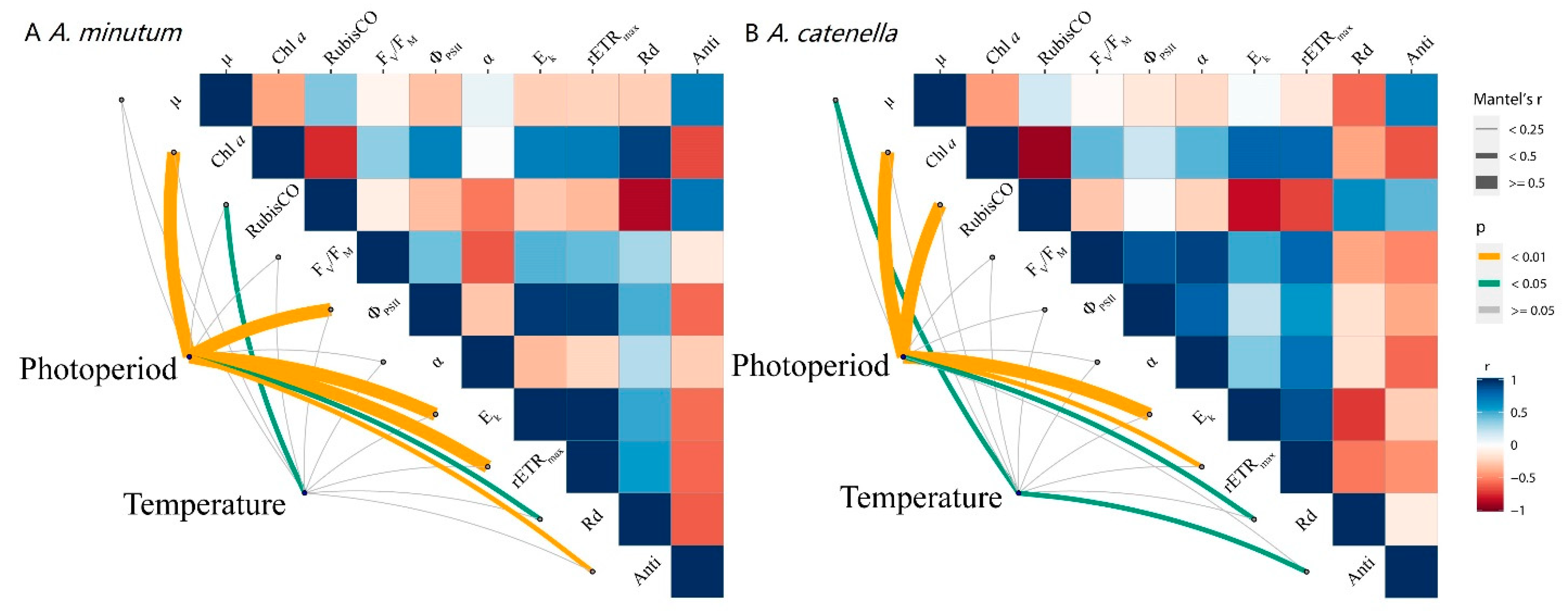 Plants 10 01056 g006 Plants 10 01056 g006