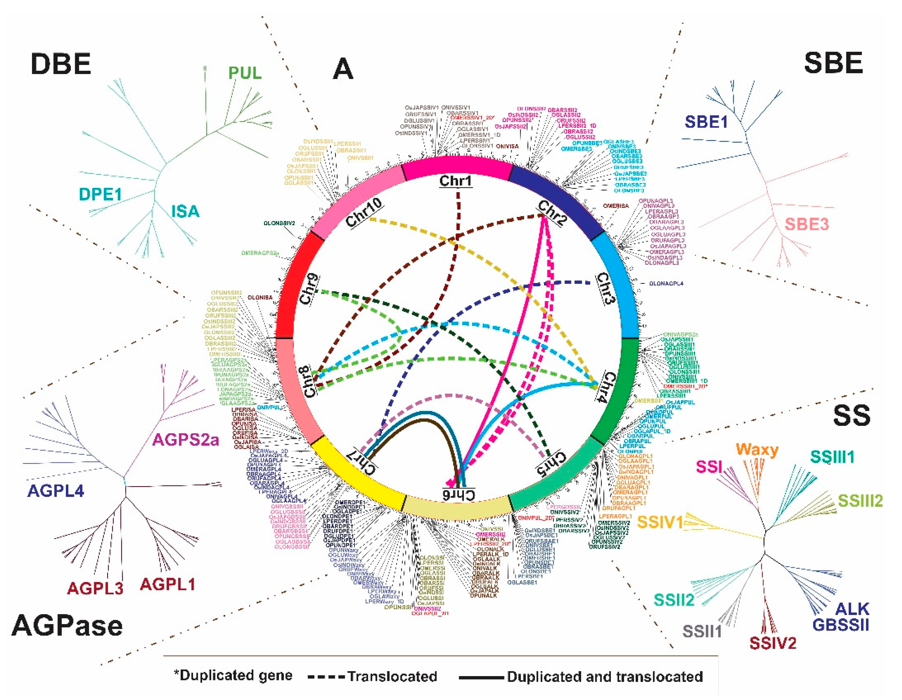 Plants 10 01057 g001