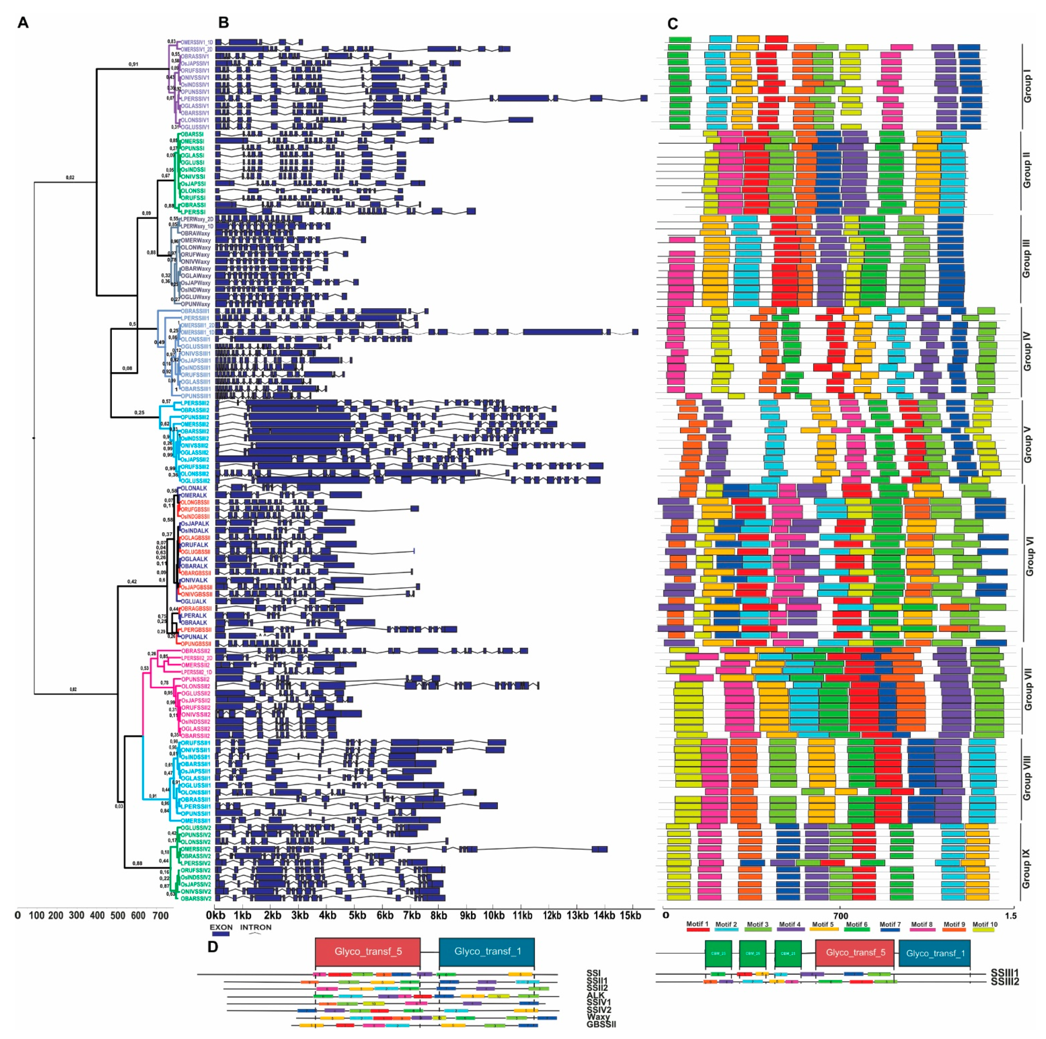 Plants 10 01057 g003