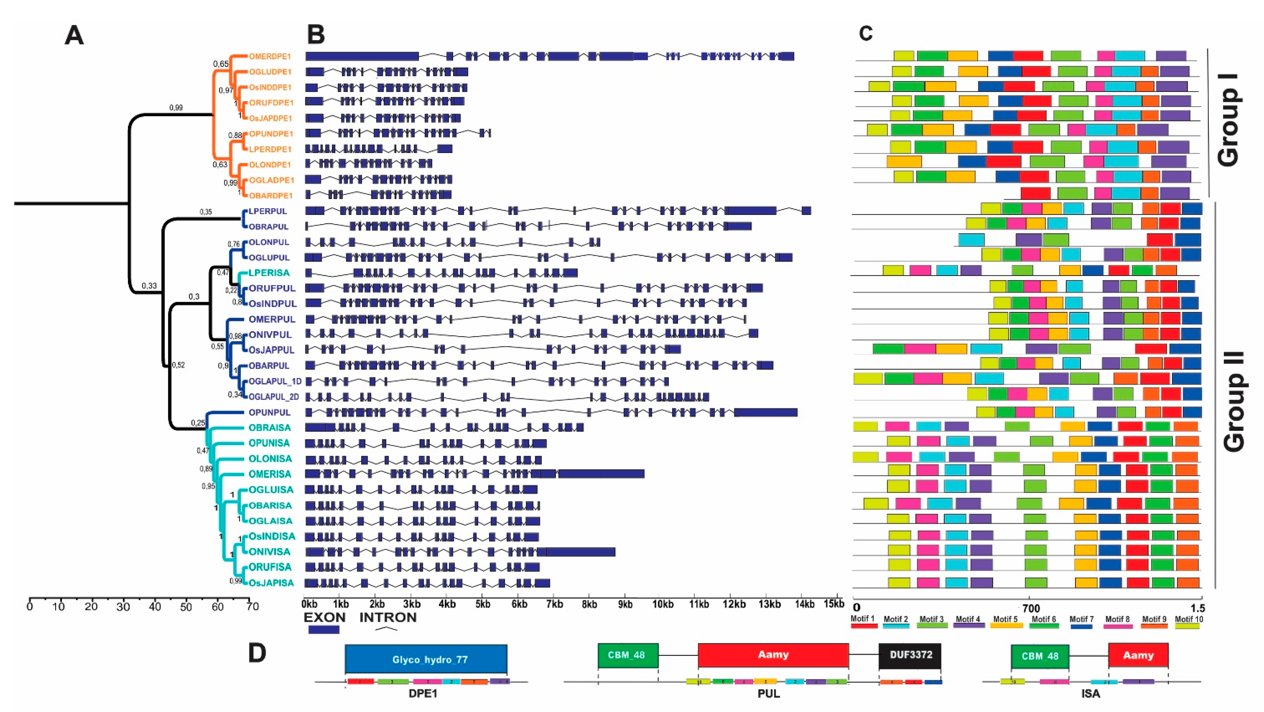Plants 10 01057 g004