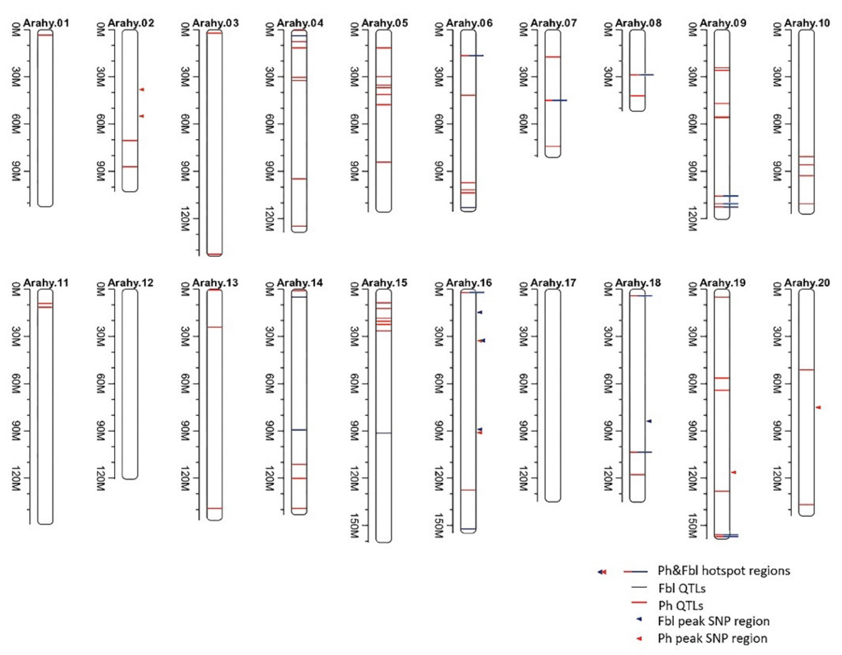 Plants 10 01058 g002 Plants 10 01058 g002