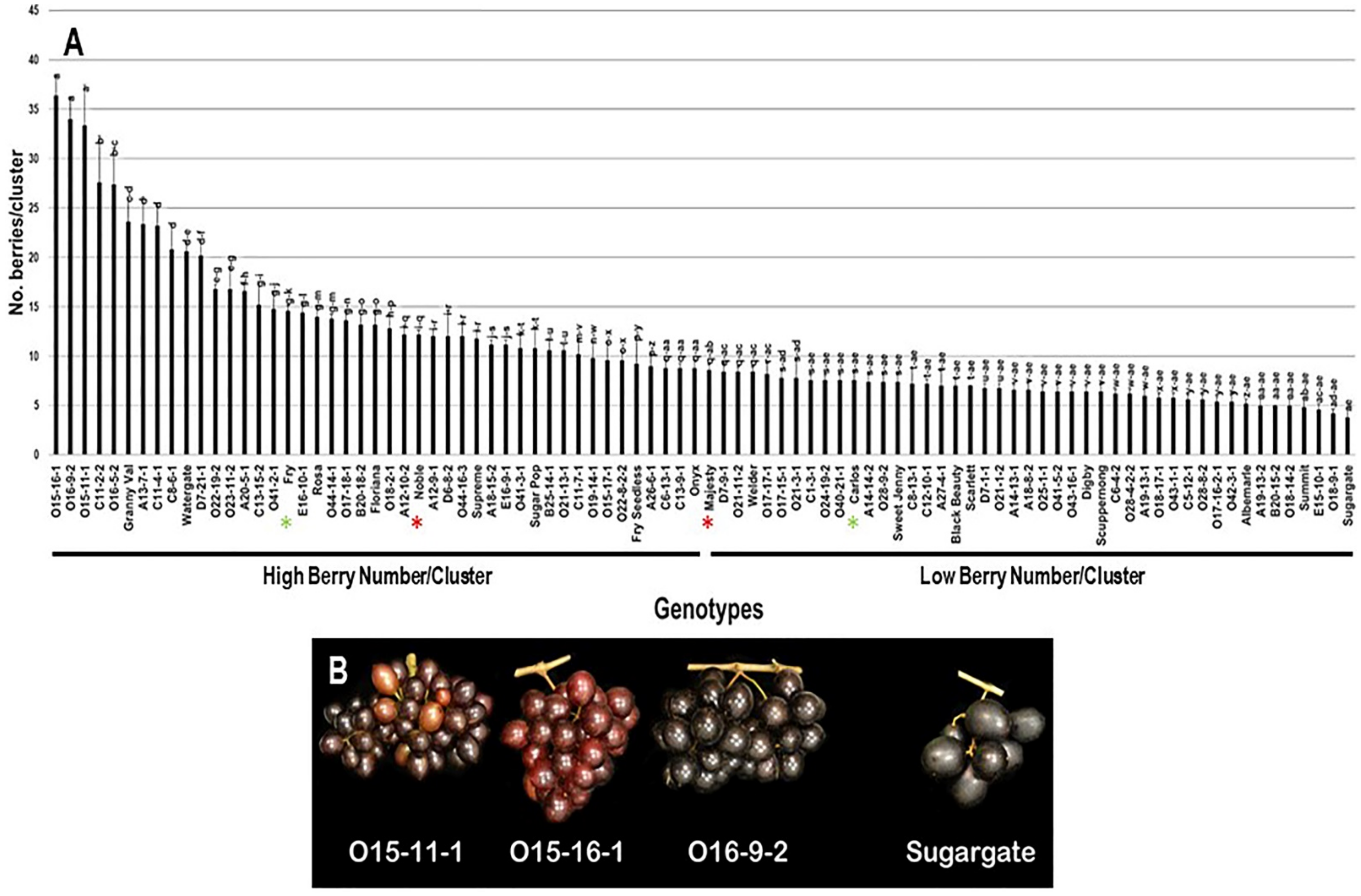 Plants 10 01067 g005 Plants 10 01067 g005