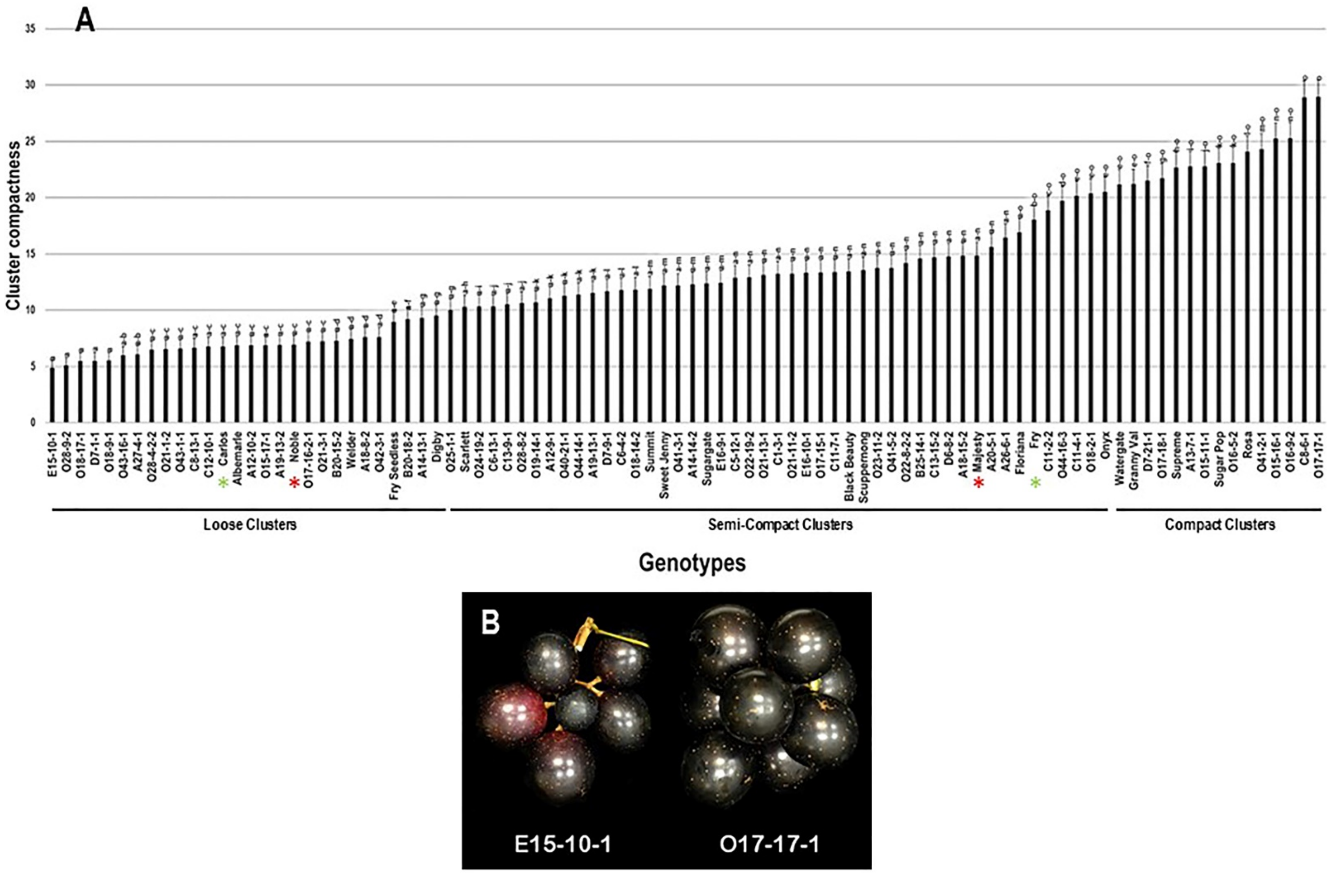Plants 10 01067 g007 Plants 10 01067 g007