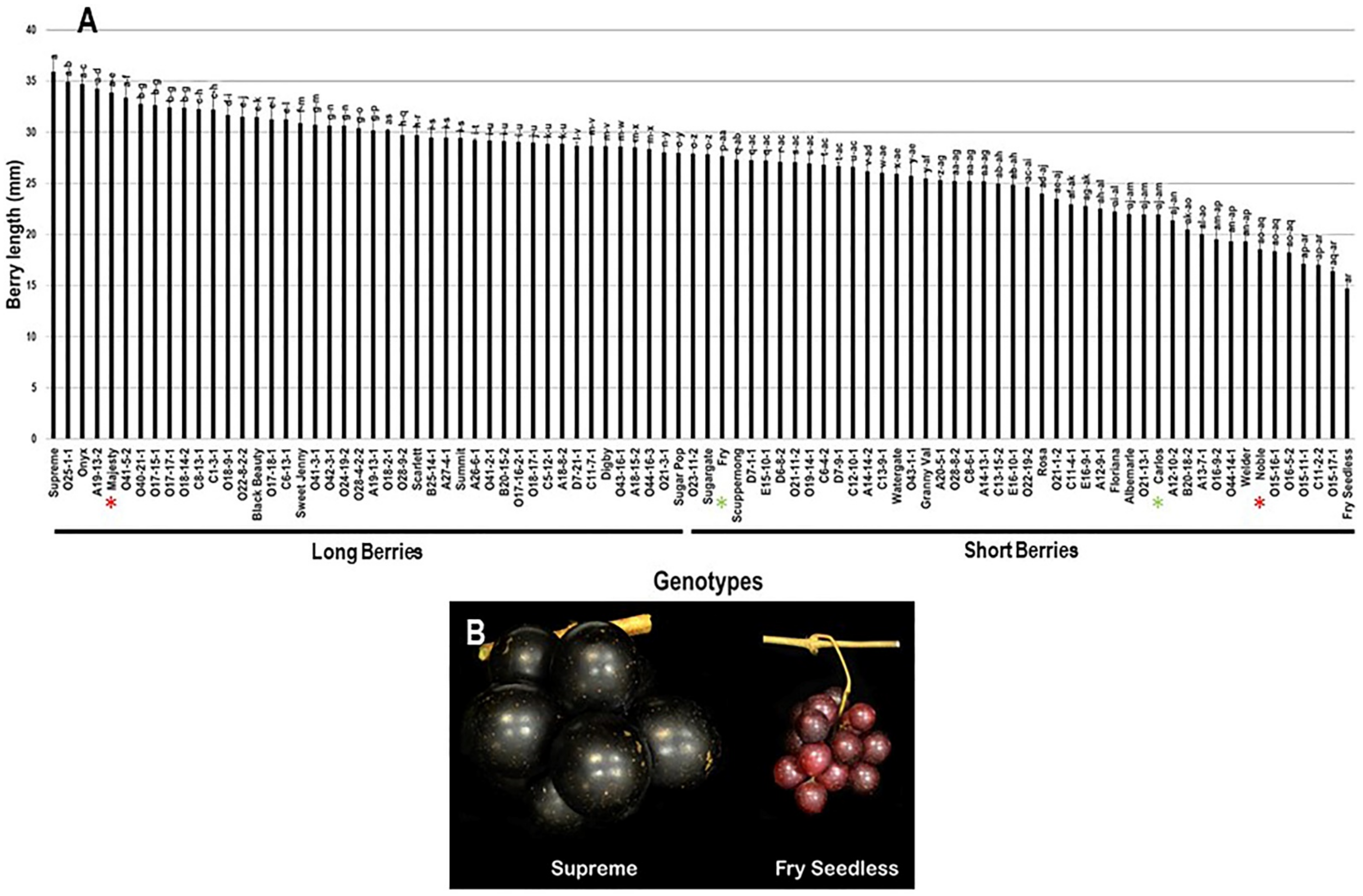 Plants 10 01067 g009 Plants 10 01067 g009