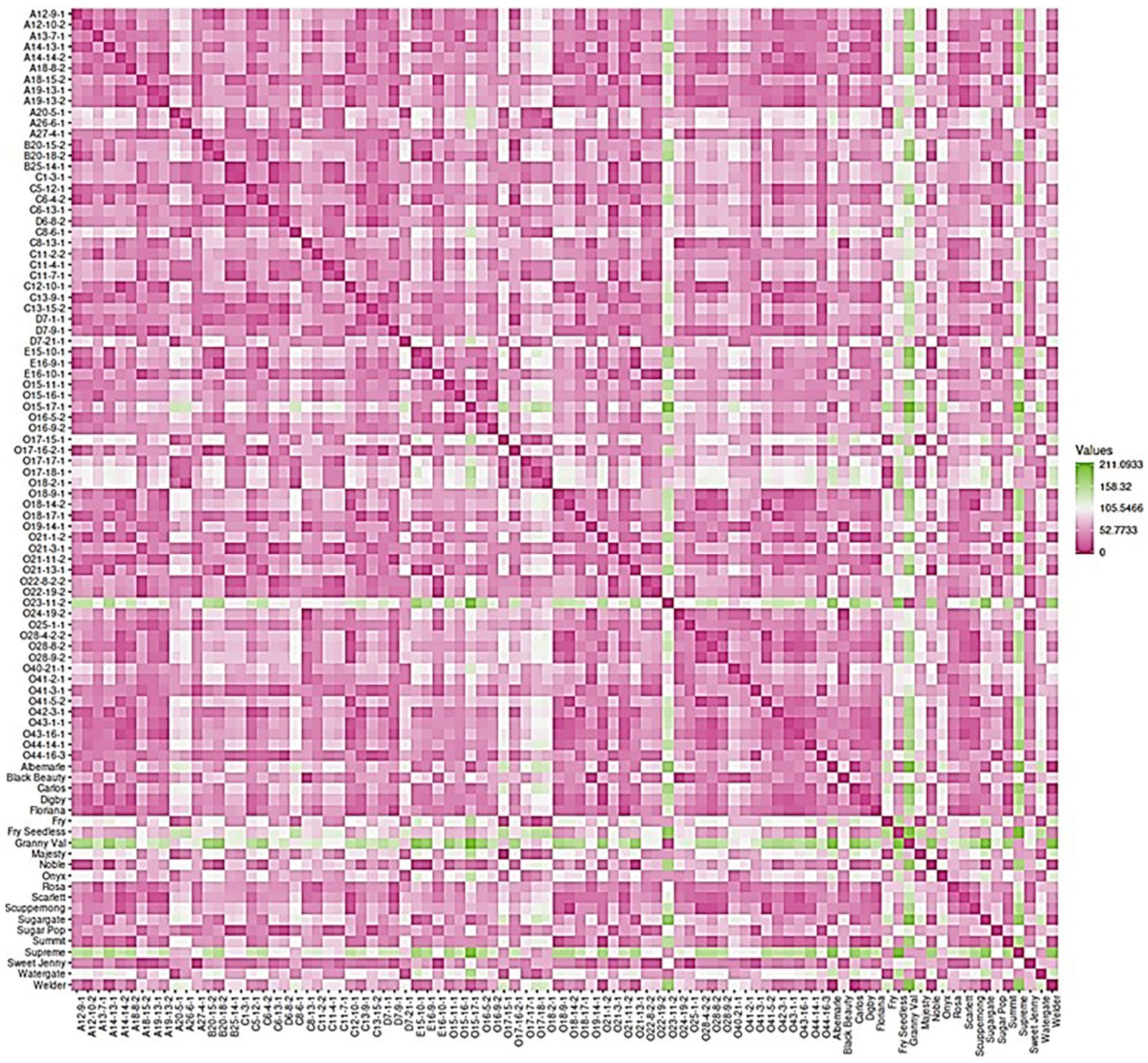 Plants 10 01067 g019 Plants 10 01067 g019