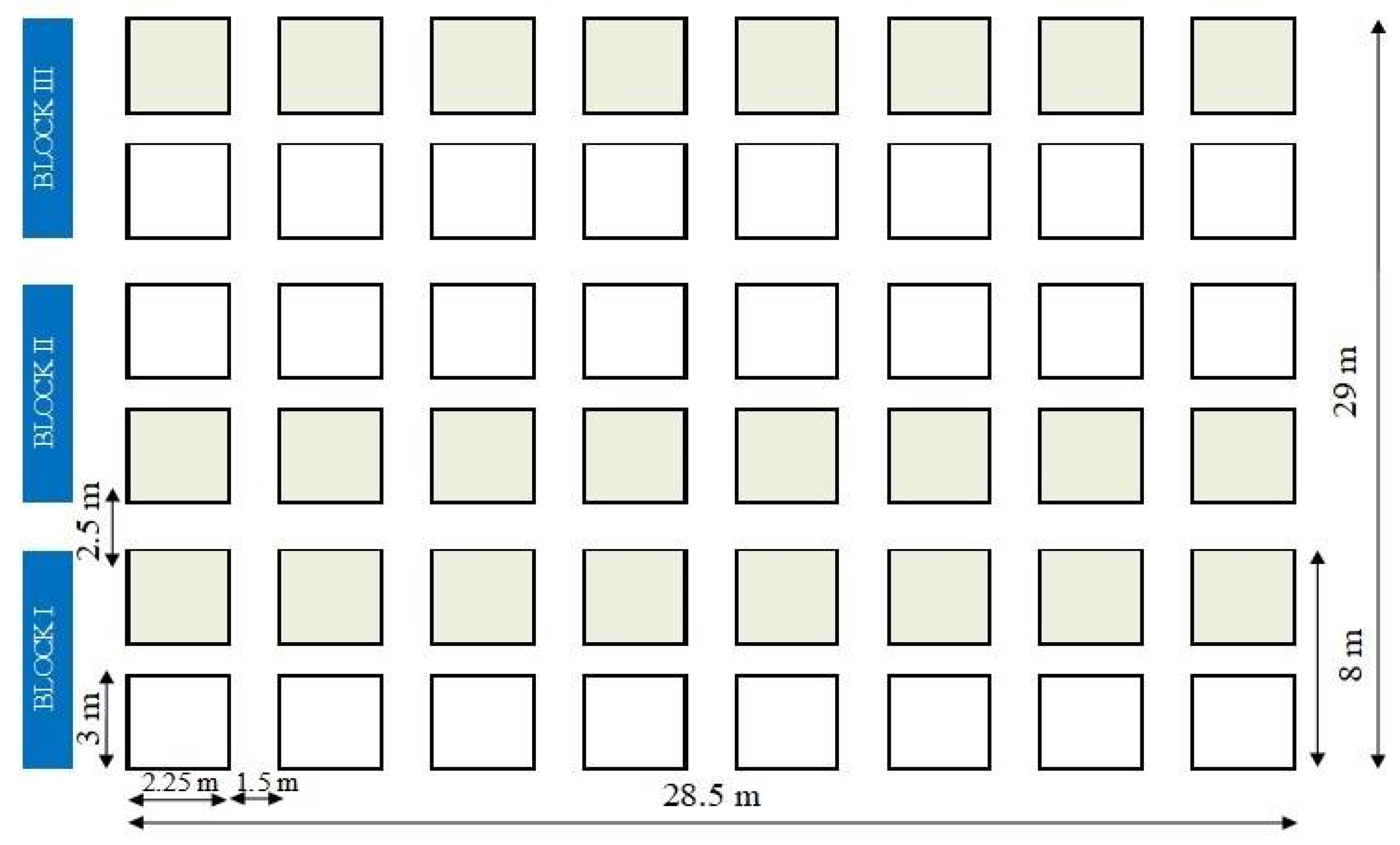 Plants 10 01074 g007