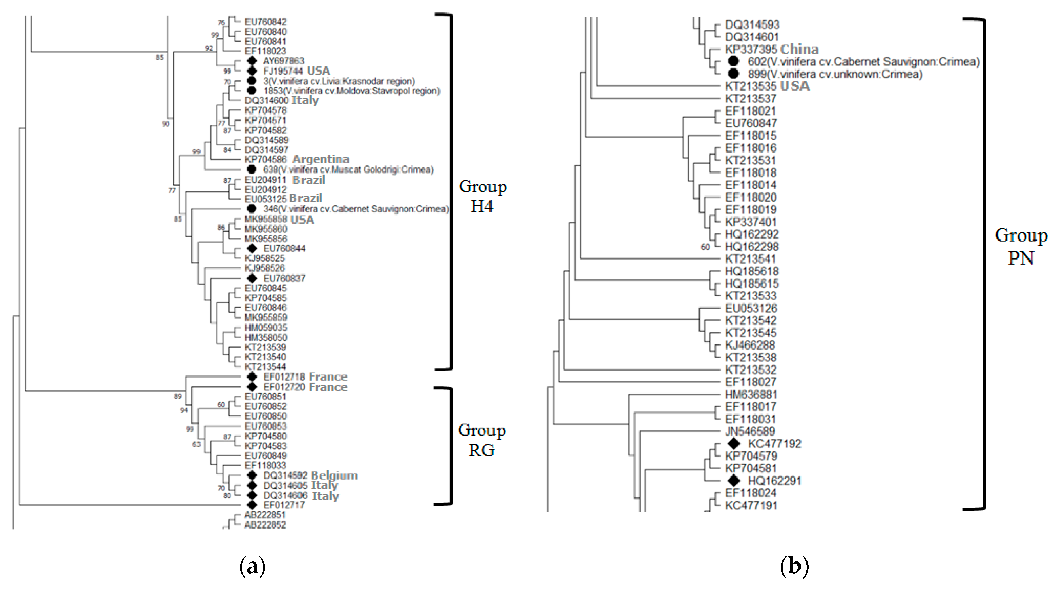 Plants 10 01080 g004 Plants 10 01080 g004