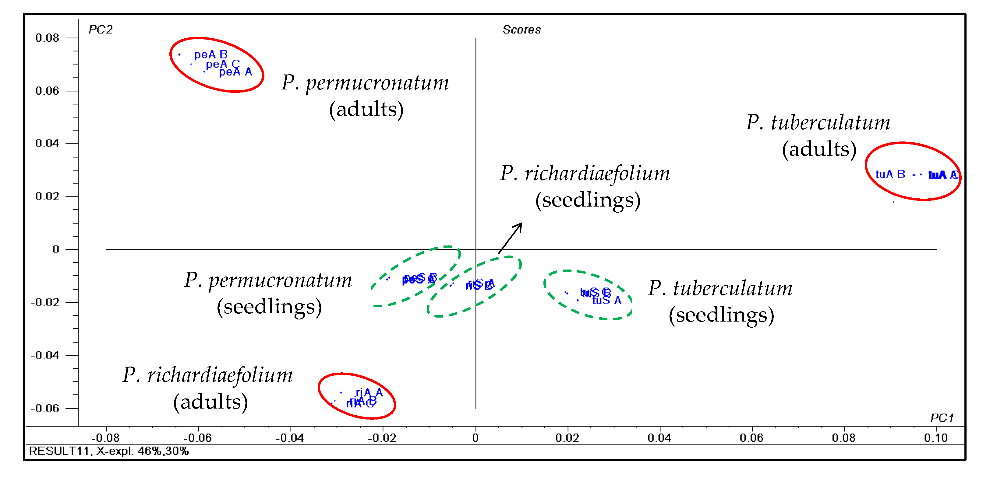 Plants 10 01085 g012 Plants 10 01085 g012