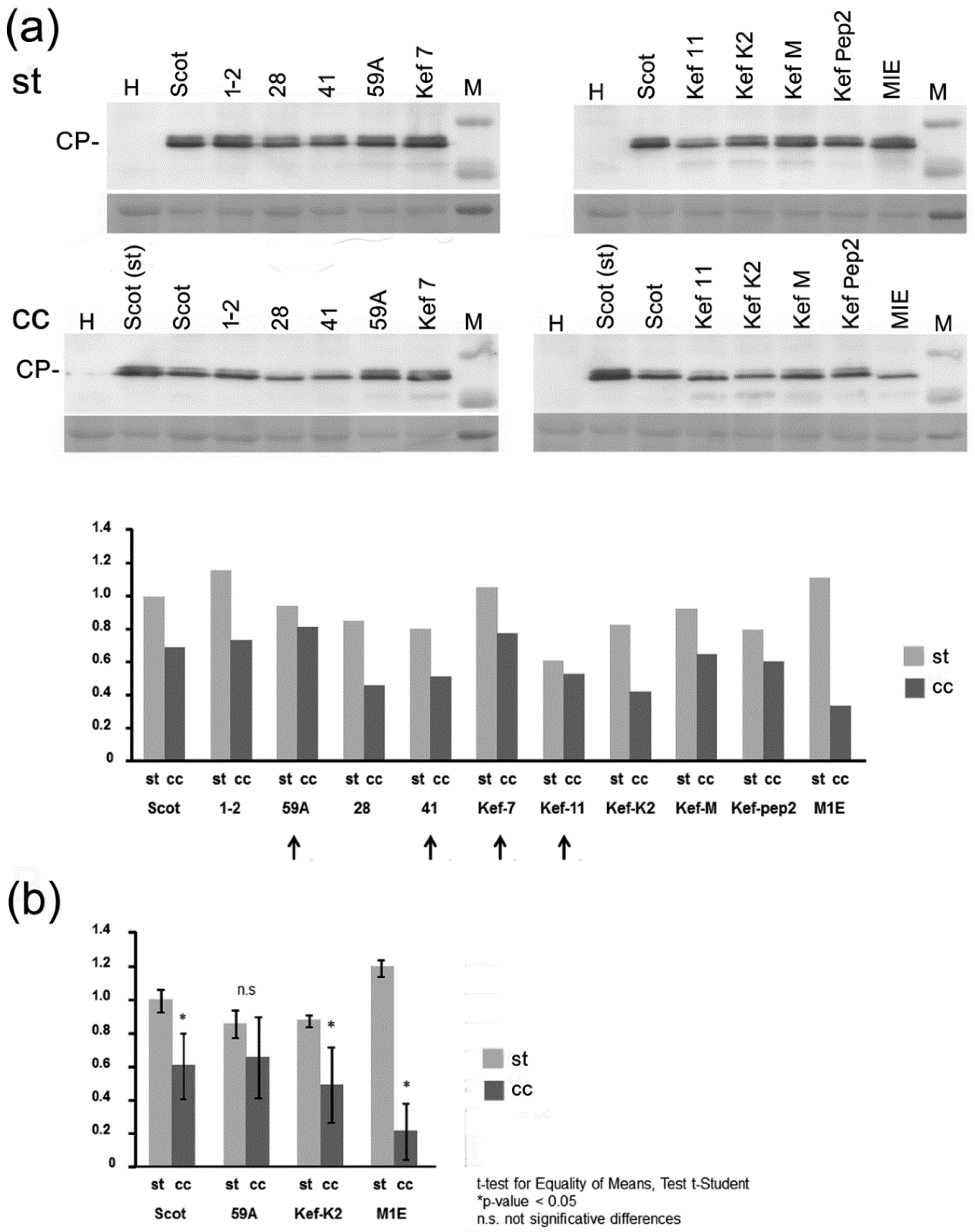 Plants 10 01086 g004 Plants 10 01086 g004