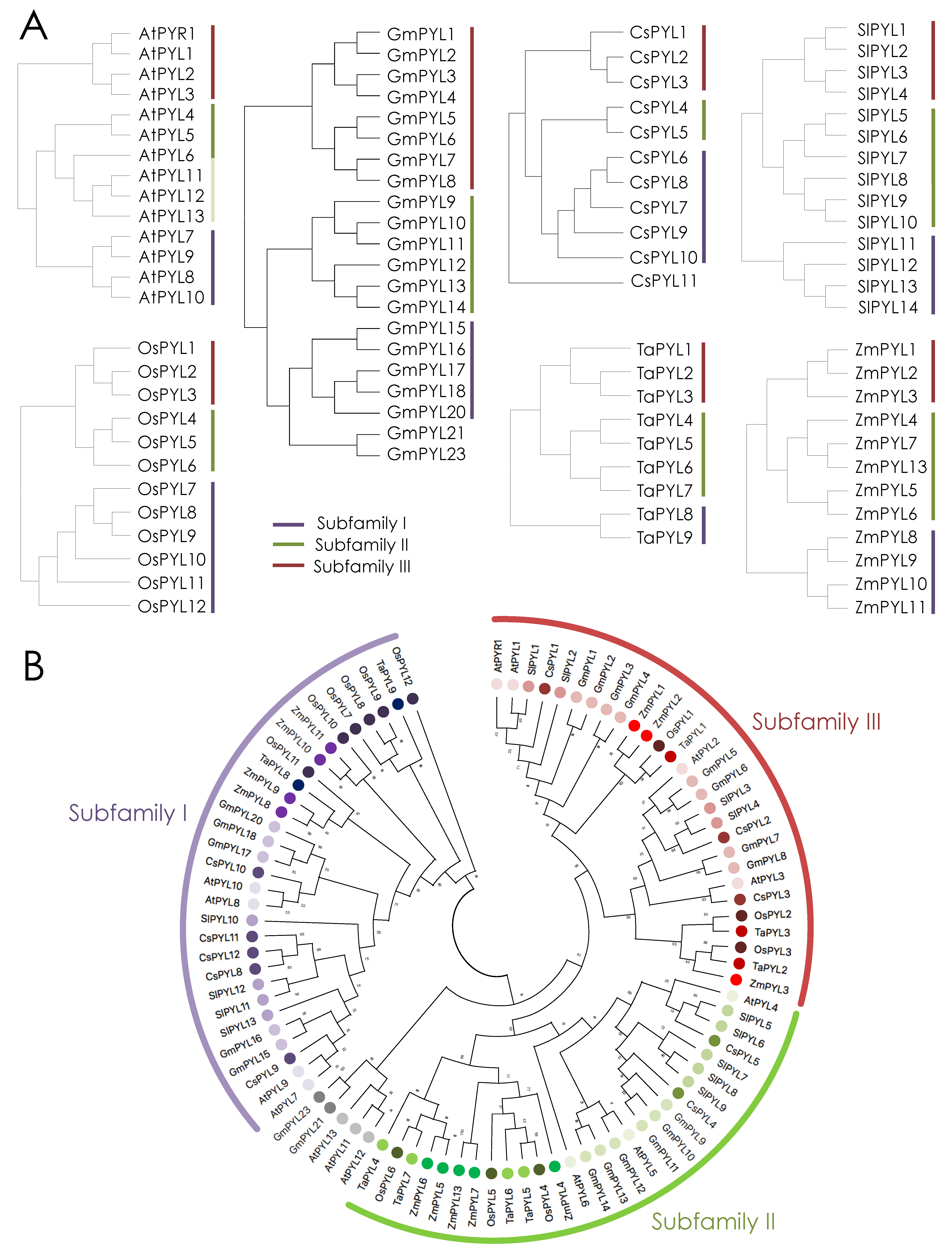 Plants 10 01087 g001 Plants 10 01087 g001