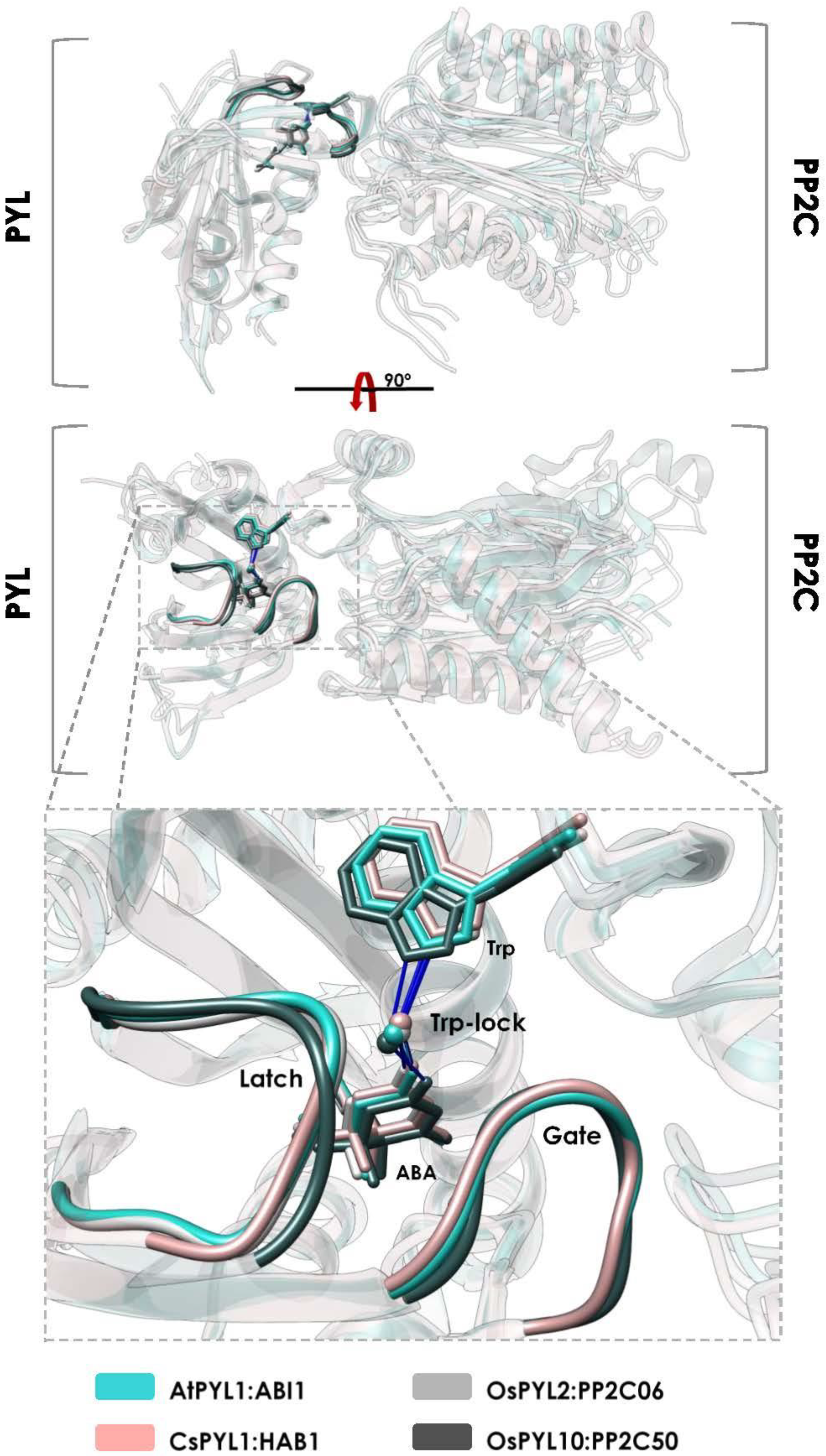 Plants 10 01087 g004 Plants 10 01087 g004