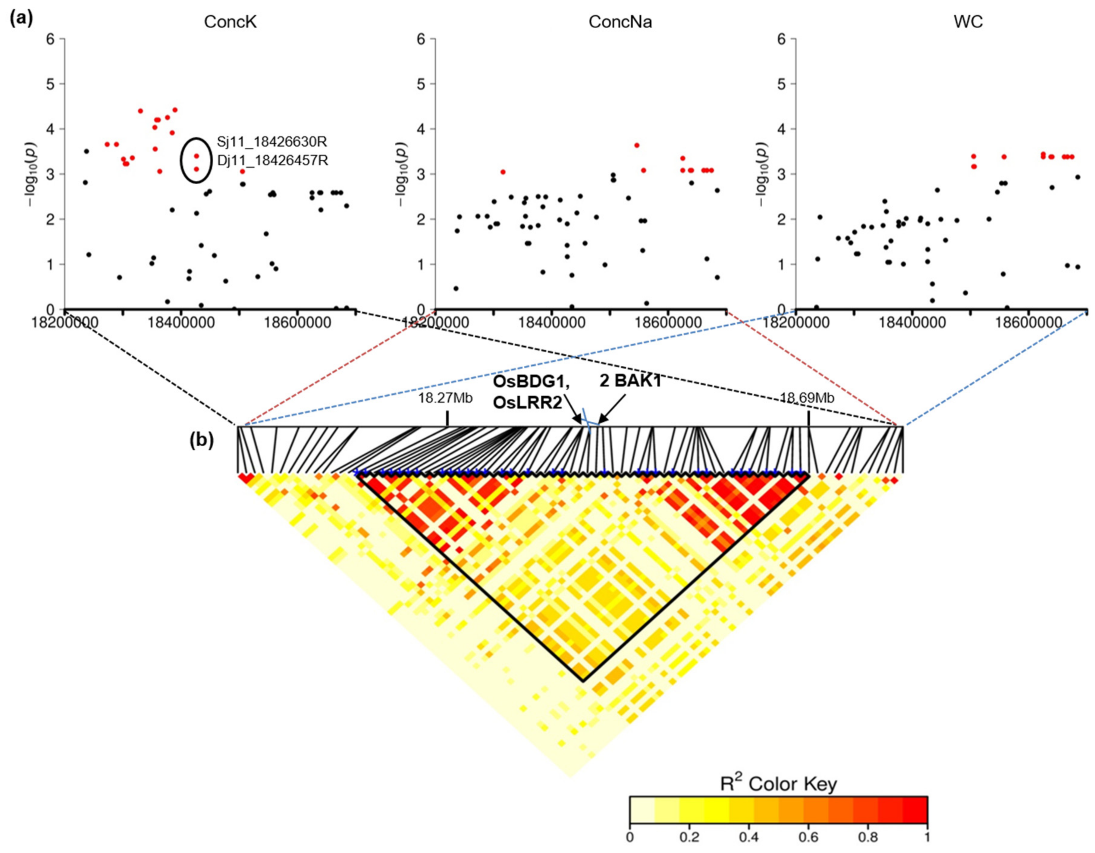 Plants 10 01088 g003 Plants 10 01088 g003