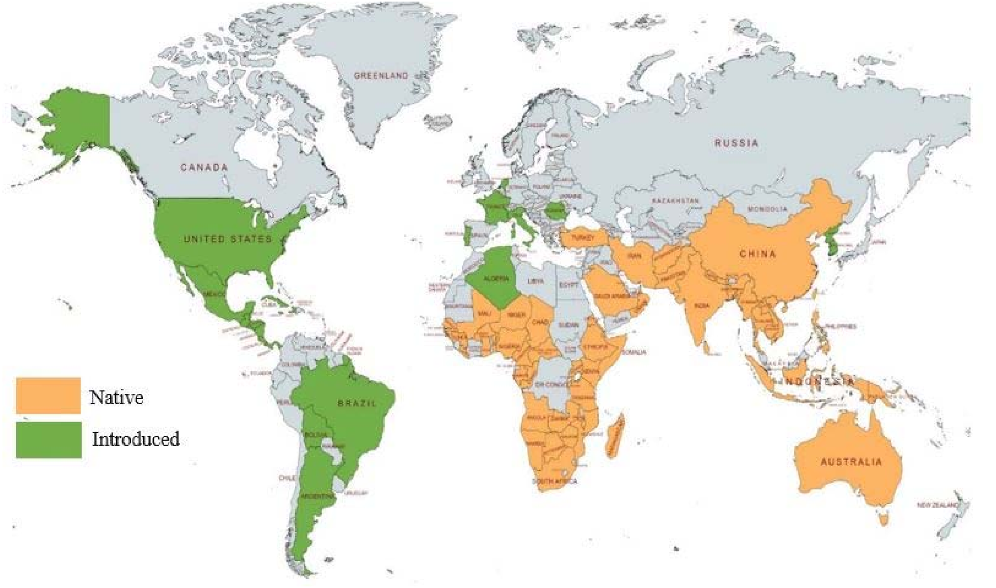 Plants 10 01089 g001