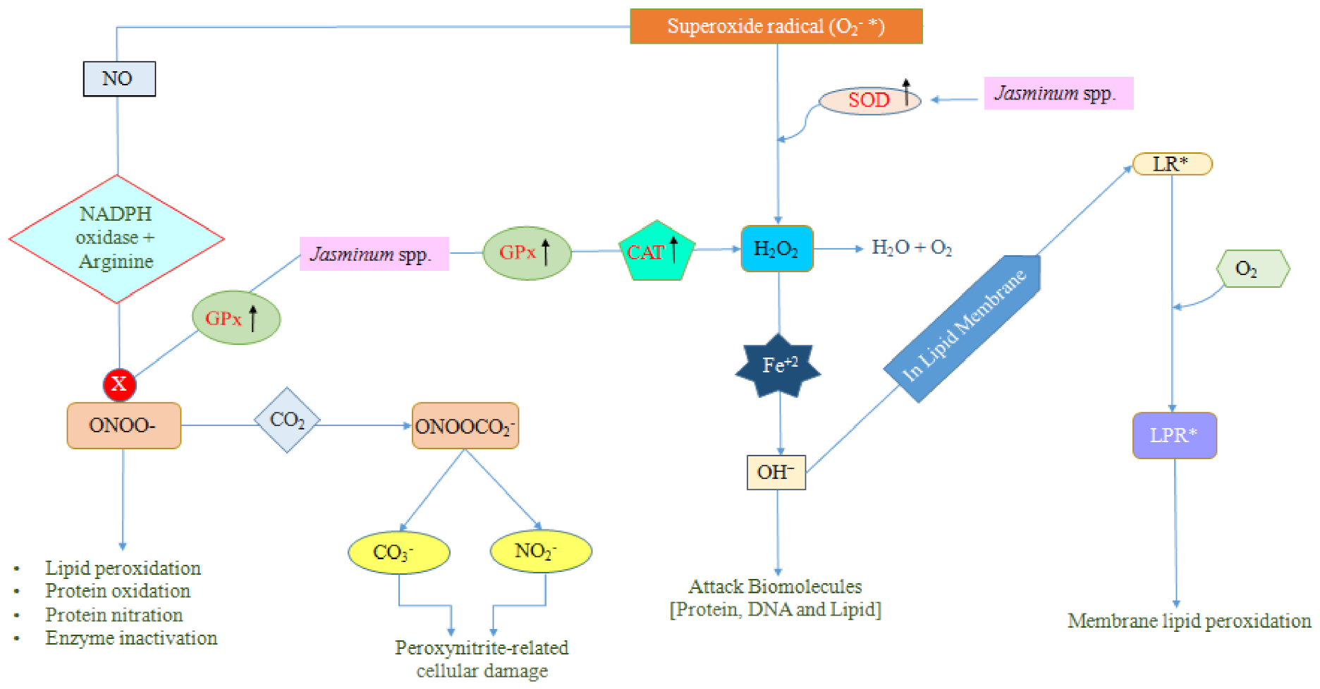 Plants 10 01089 g005