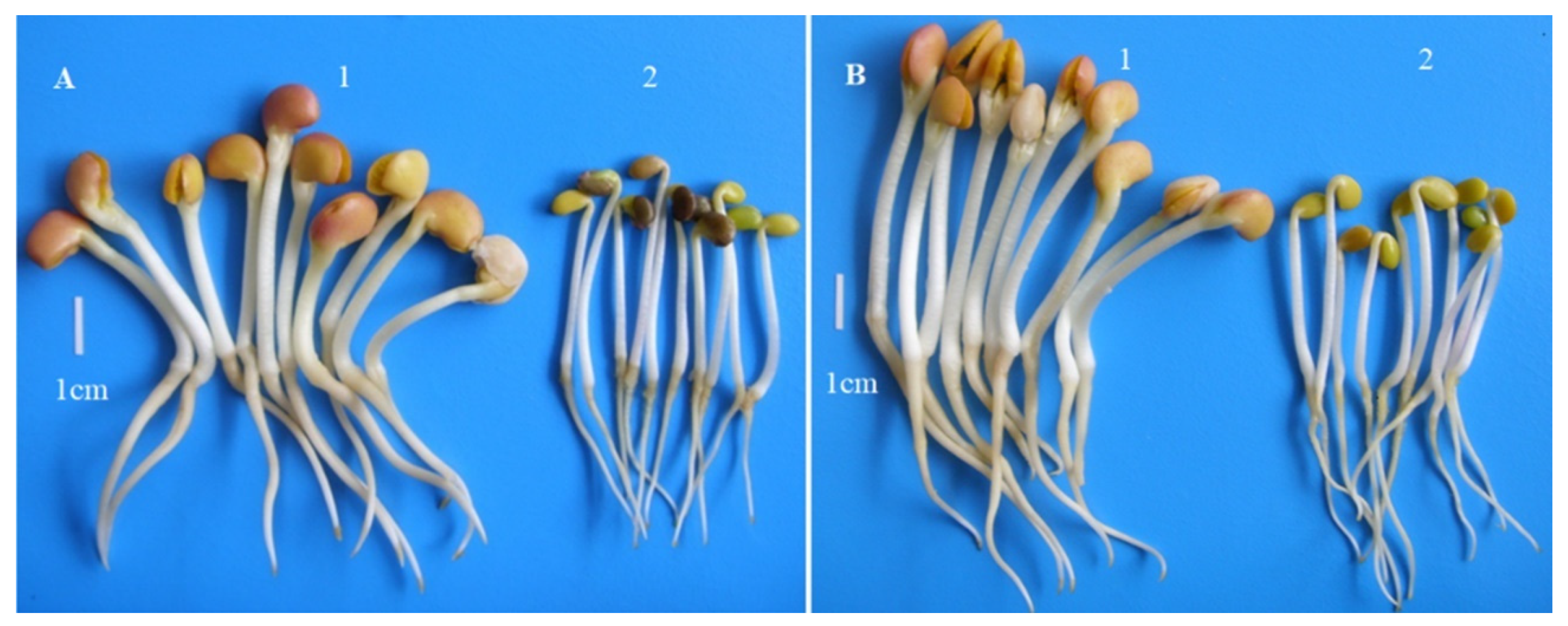 Plants 10 01091 g001 Plants 10 01091 g001