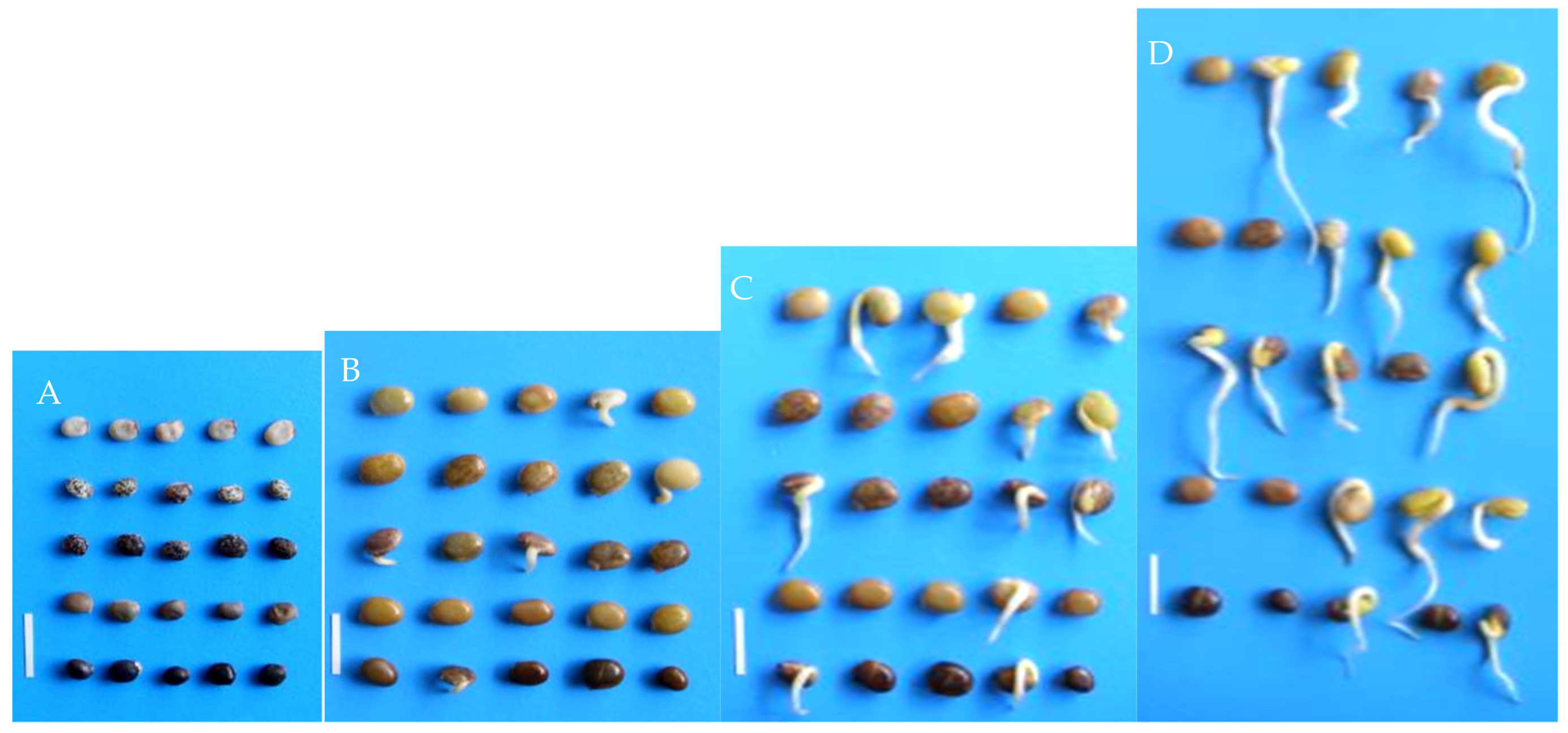 Plants 10 01091 g0a1 Plants 10 01091 g0a1