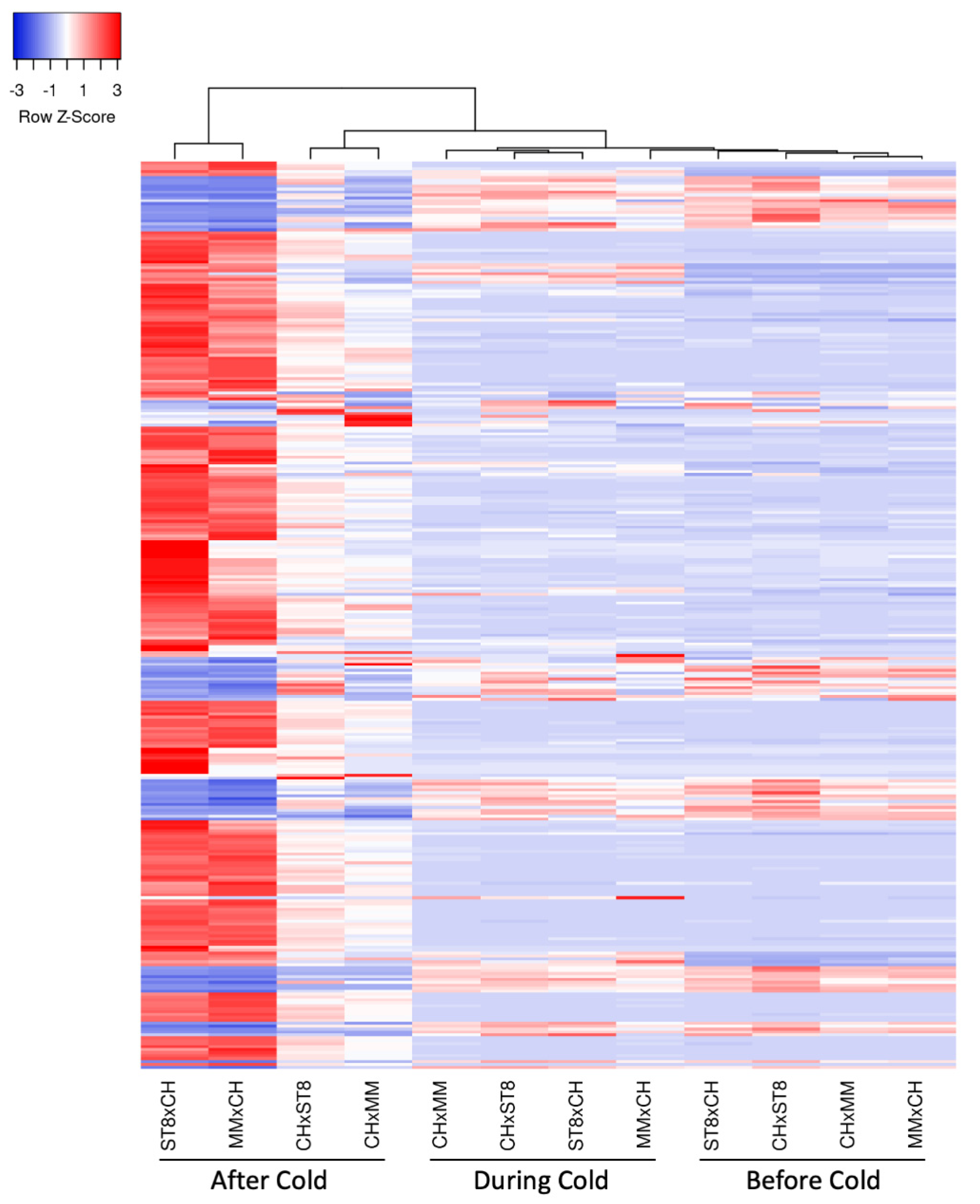 Plants 10 01092 g006 Plants 10 01092 g006