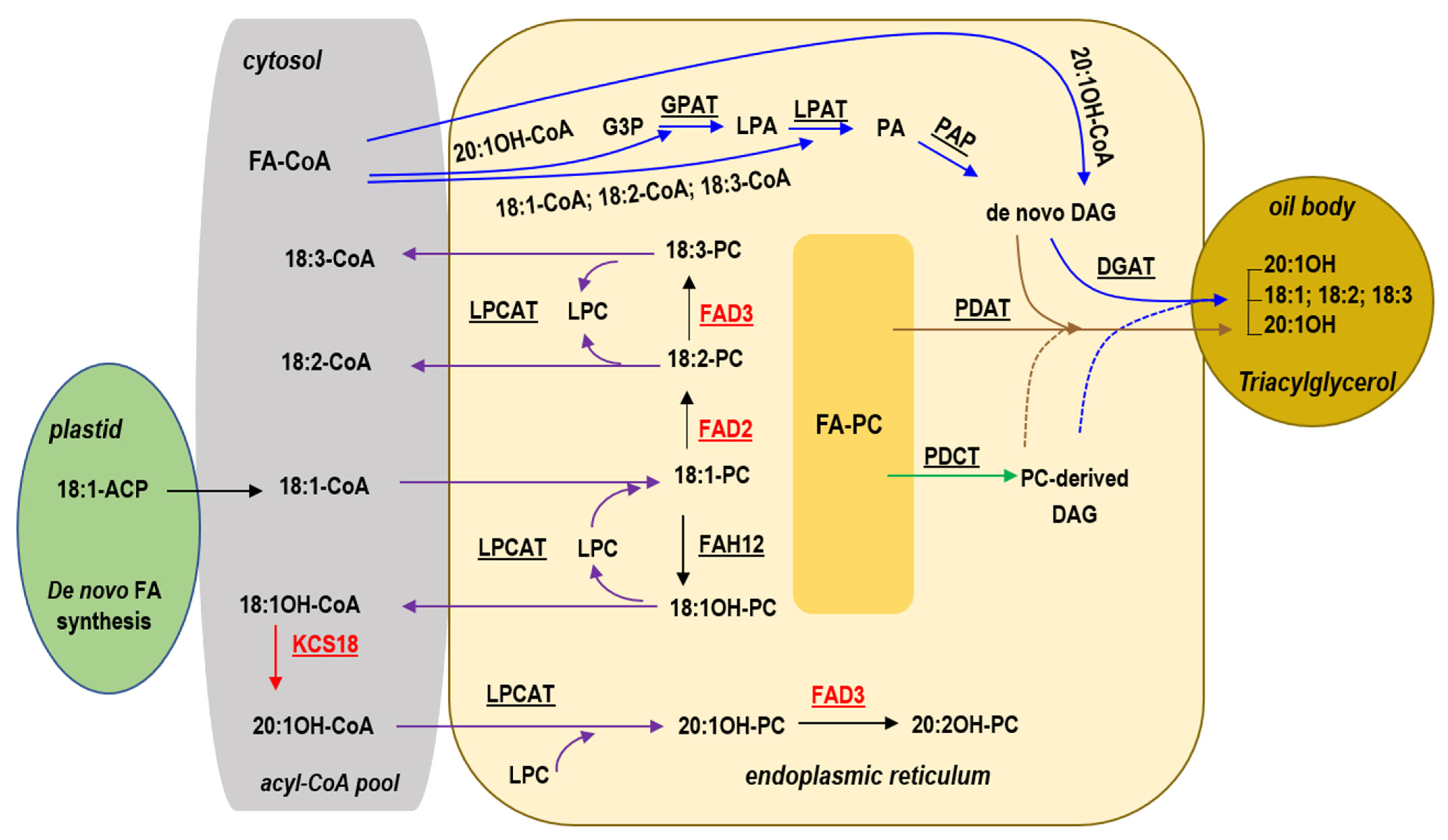 Plants 10 01093 g001 Plants 10 01093 g001