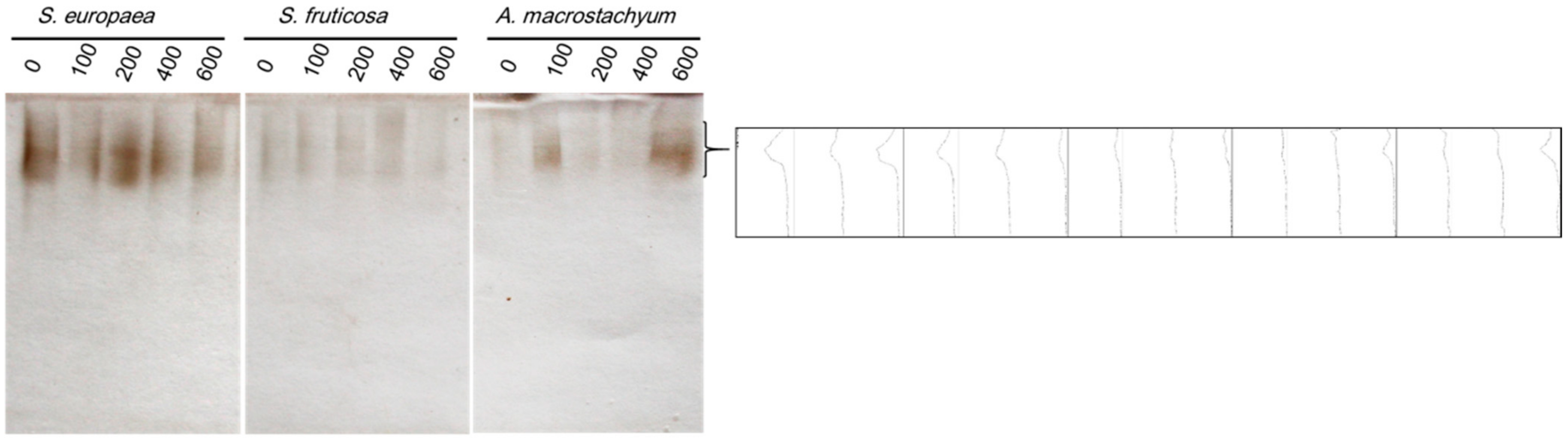 Plants 10 01100 g014
