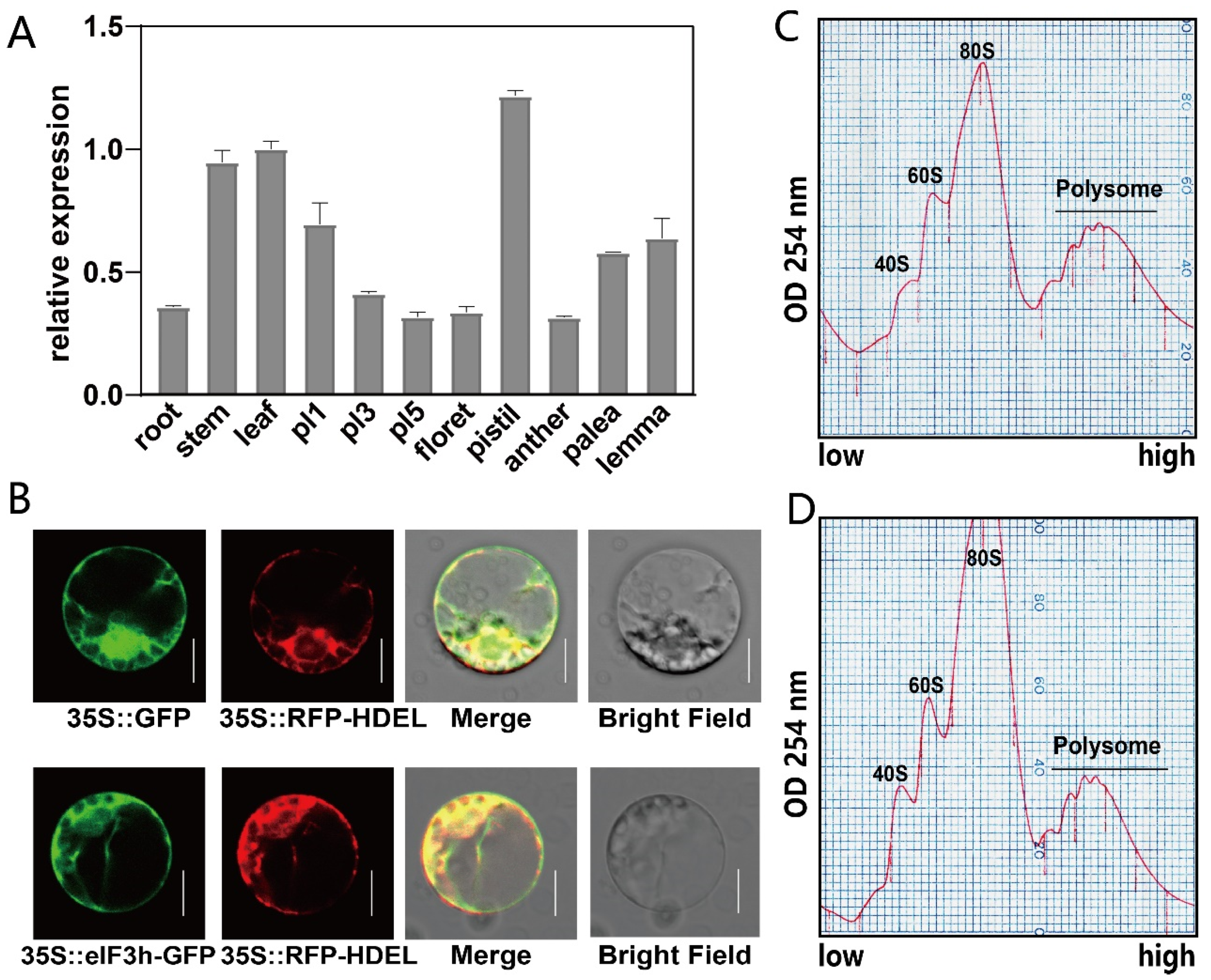 Plants 10 01101 g002 Plants 10 01101 g002