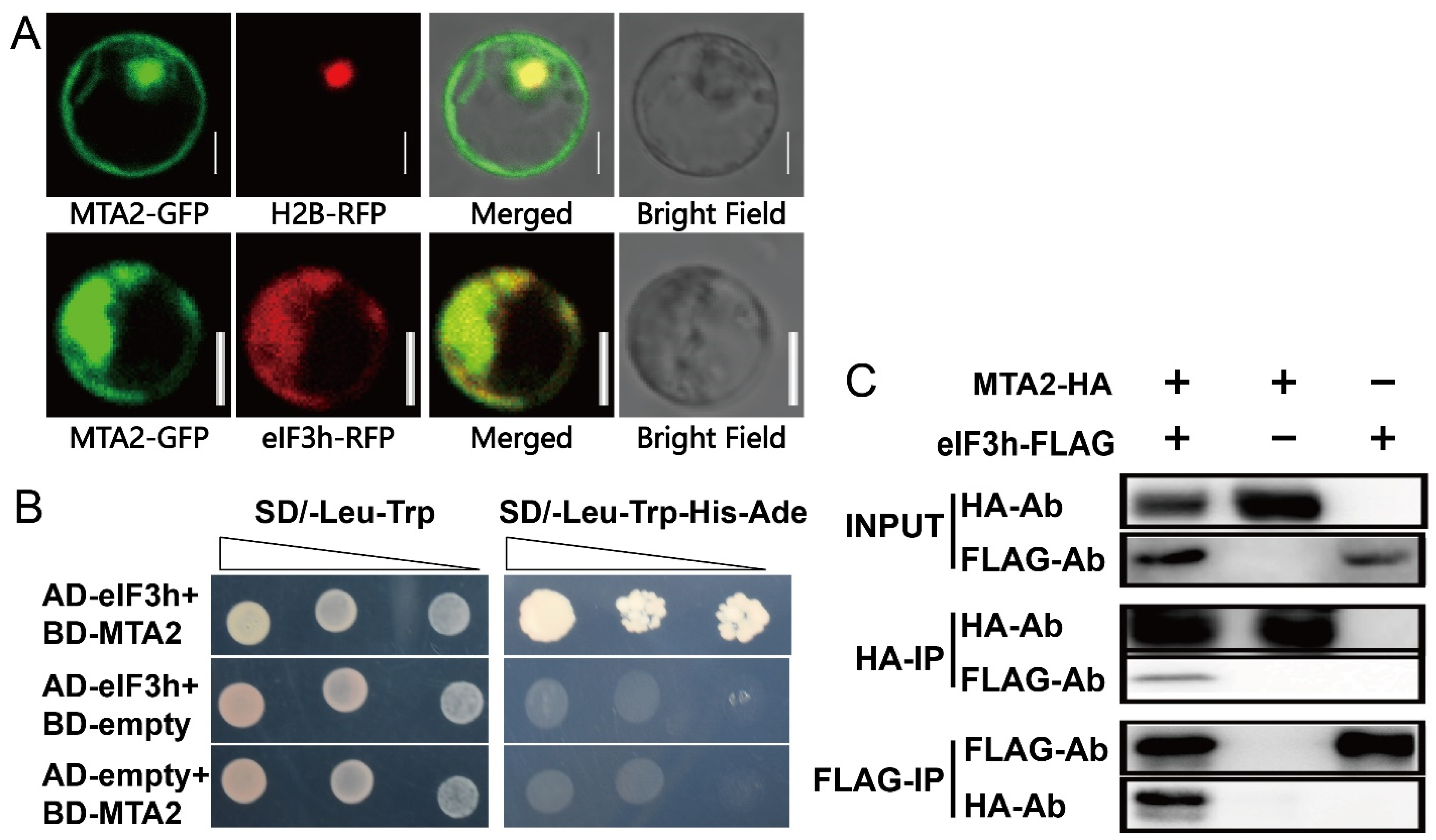 Plants 10 01101 g003 Plants 10 01101 g003
