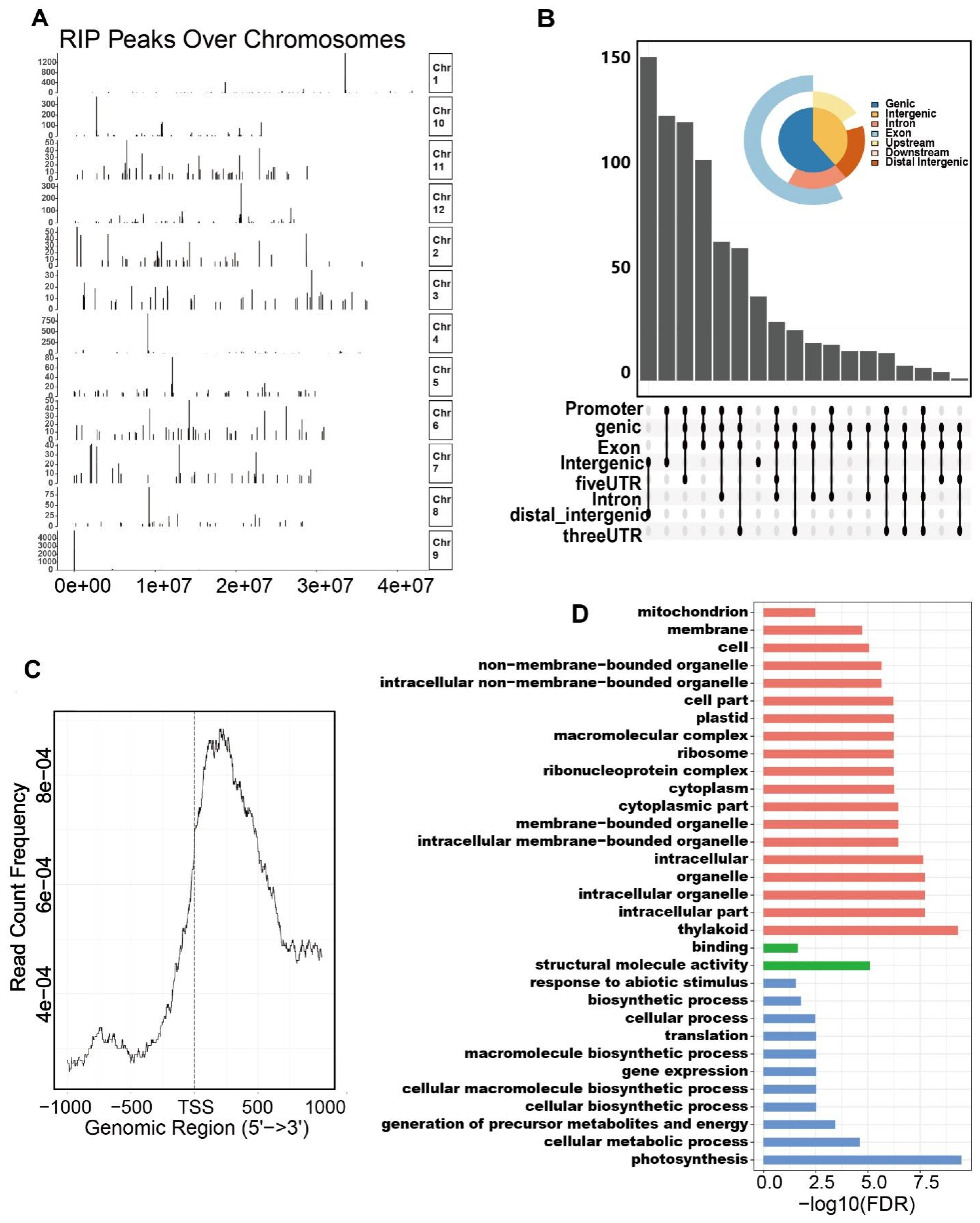 Plants 10 01101 g004 Plants 10 01101 g004