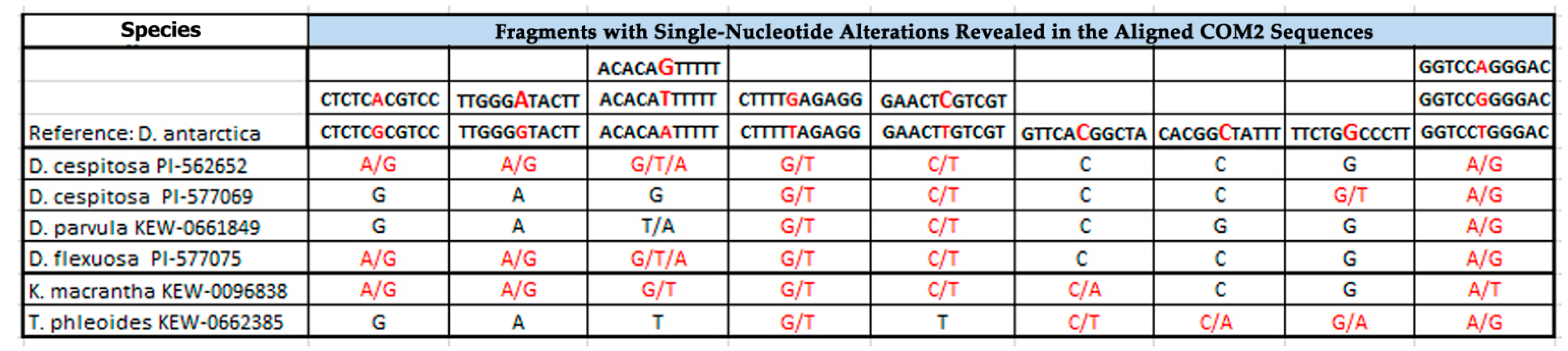 Plants 10 01105 g003 Plants 10 01105 g003