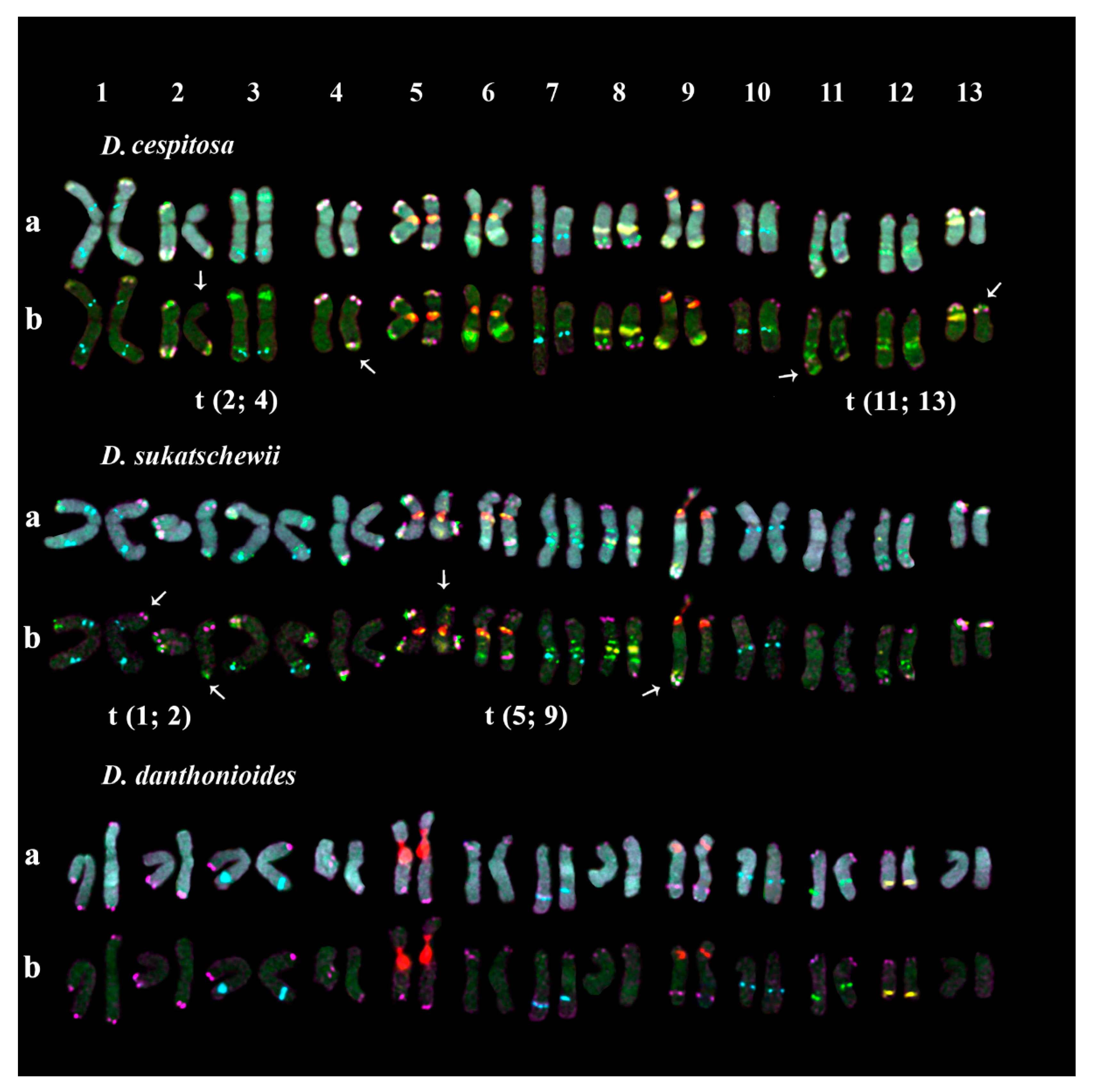 Plants 10 01105 g006 Plants 10 01105 g006