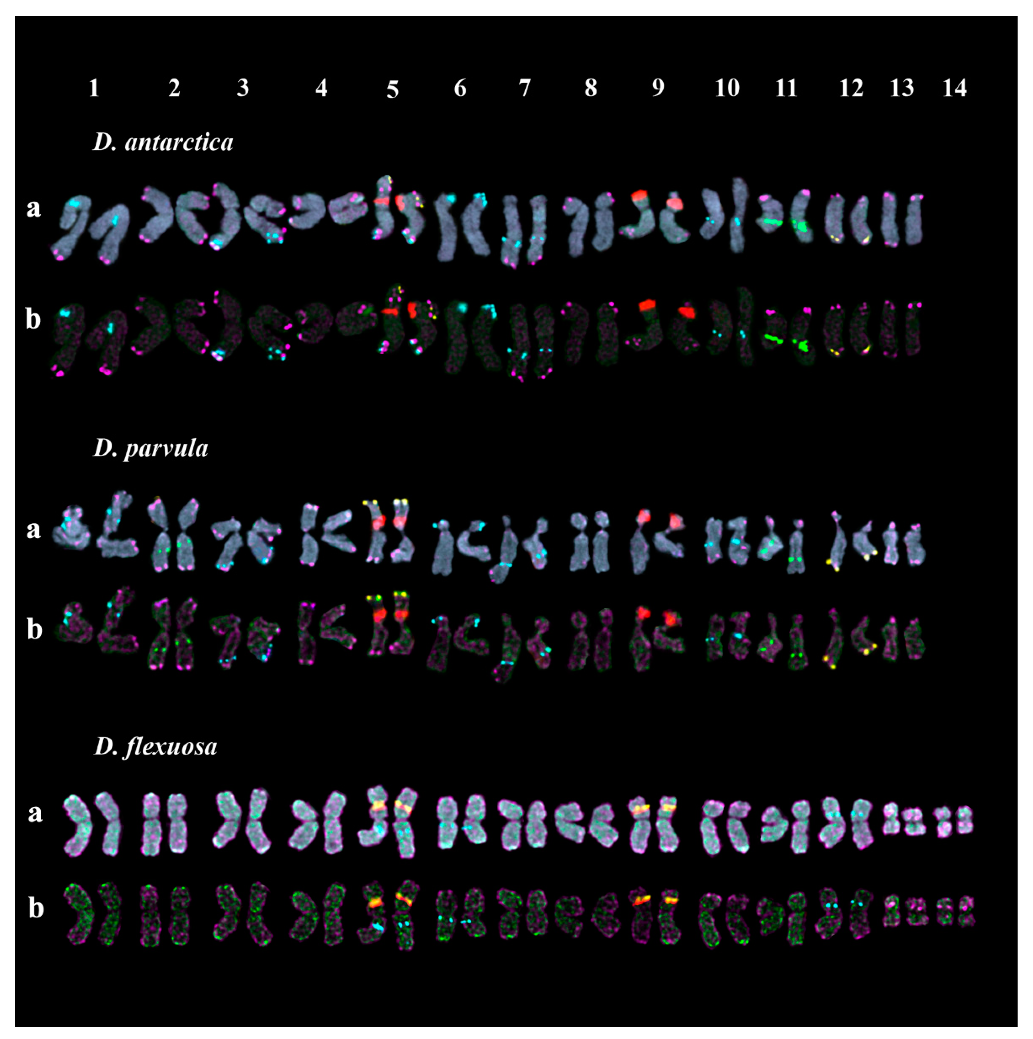 Plants 10 01105 g007 Plants 10 01105 g007