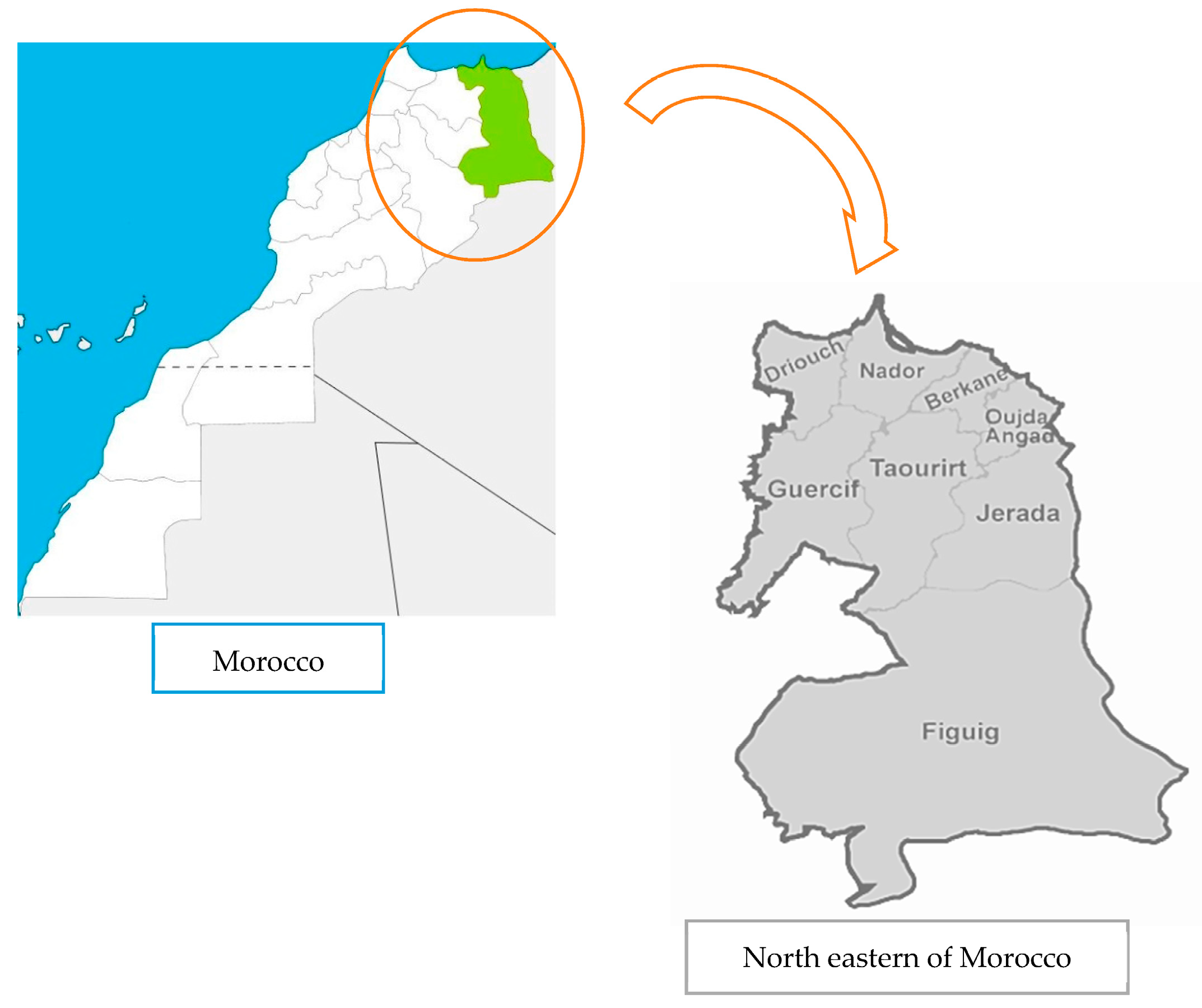 Plants 10 01108 g003 Plants 10 01108 g003