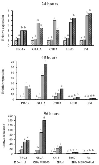 Bacillus amyloliquefaciens MBI600 differentially induces tomato defense  signaling pathways depending on plant part and dose of application