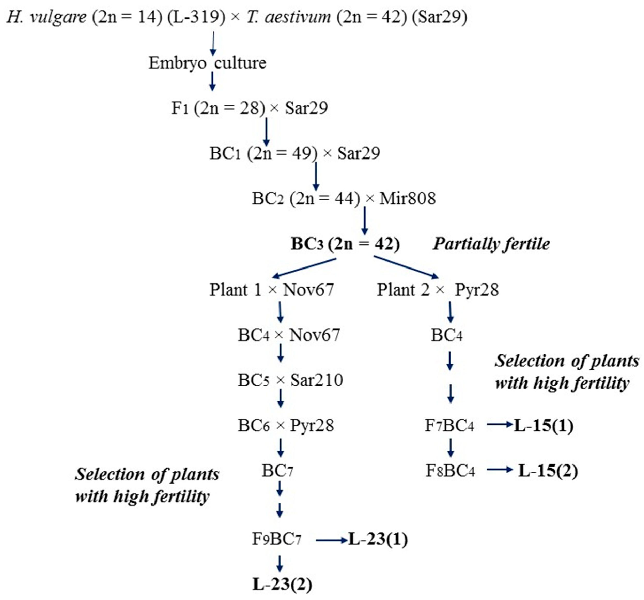 Plants 10 01120 g001 Plants 10 01120 g001
