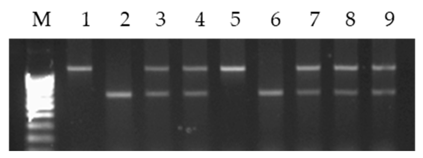 Plants 10 01120 g005 Plants 10 01120 g005