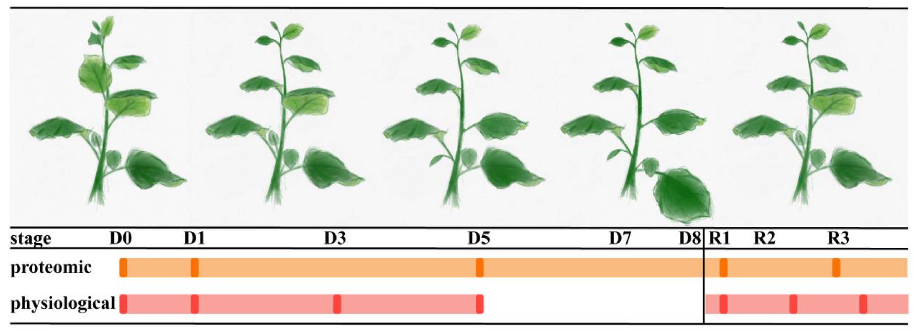 Plants 10 01127 g001 Plants 10 01127 g001