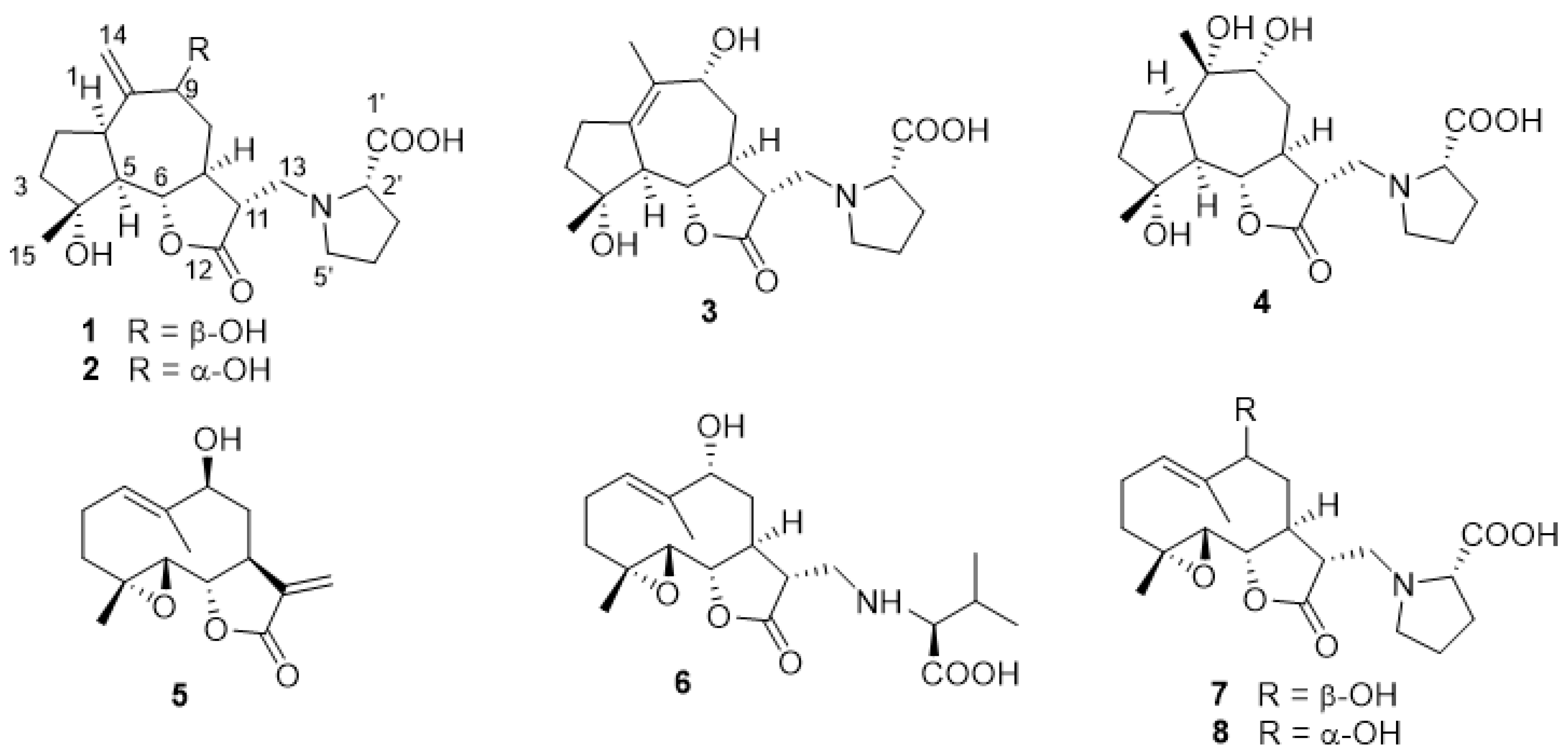 Plants 10 01130 g001 Plants 10 01130 g001