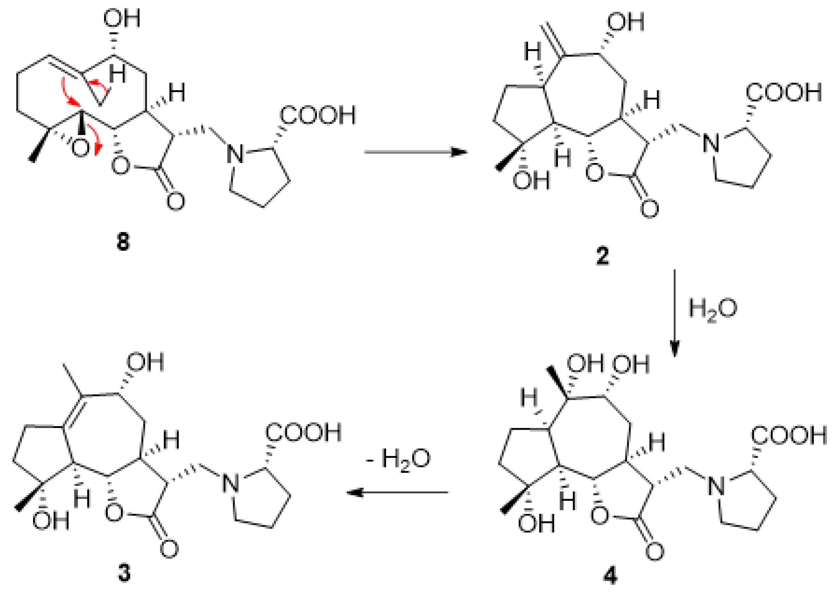 Plants 10 01130 g003 Plants 10 01130 g003