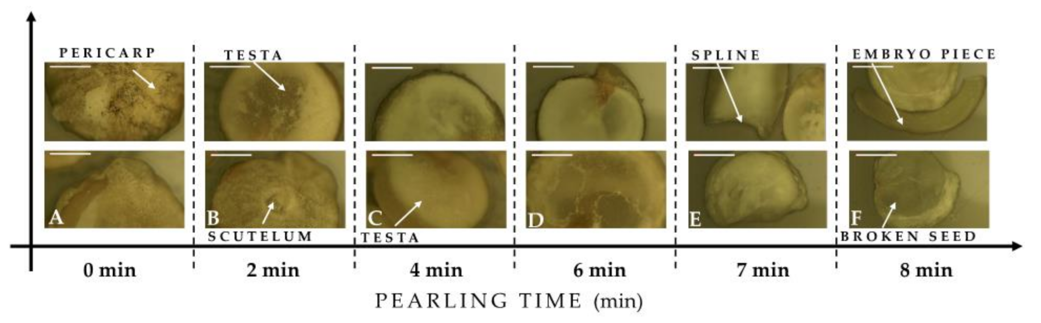 Plants 10 01133 g003 Plants 10 01133 g003