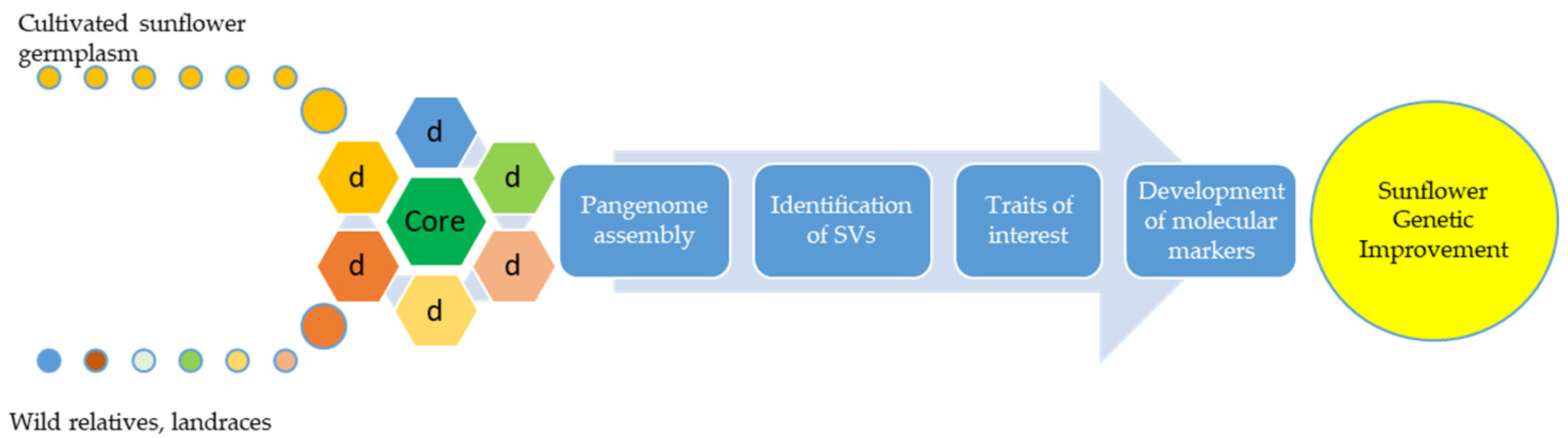 Plants 10 01150 g001