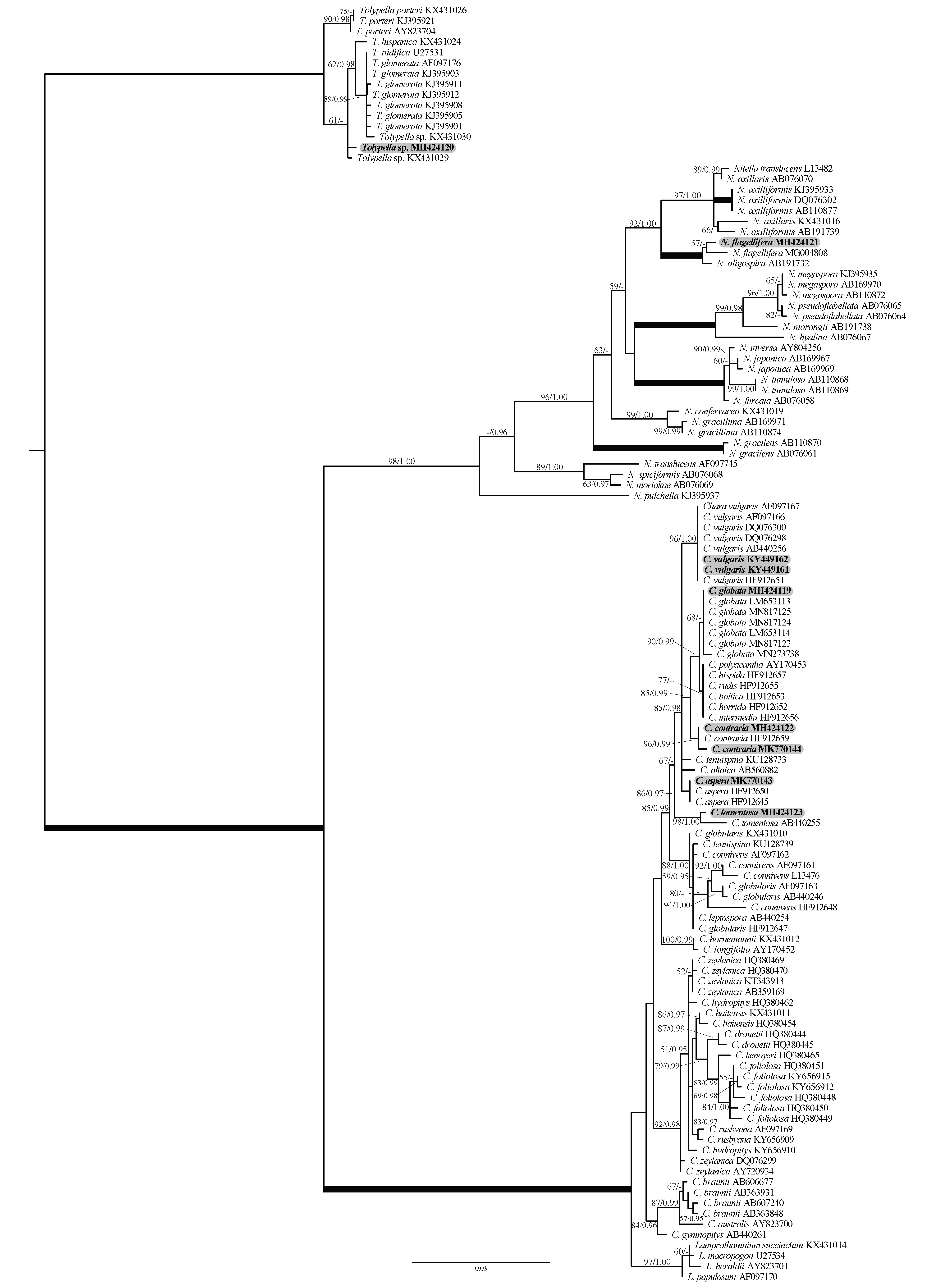 Plants 10 01157 g001 Plants 10 01157 g001