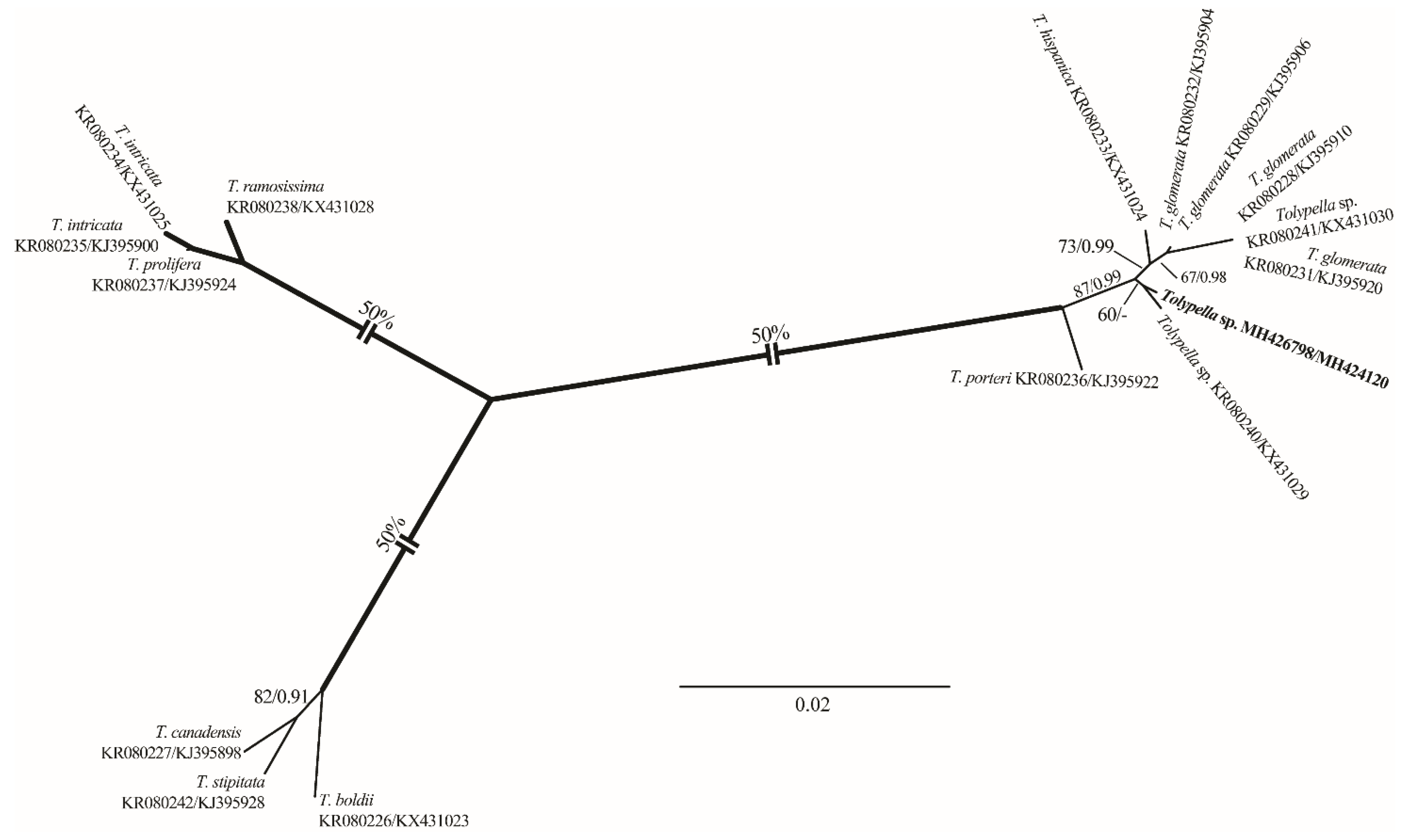 Plants 10 01157 g002 Plants 10 01157 g002