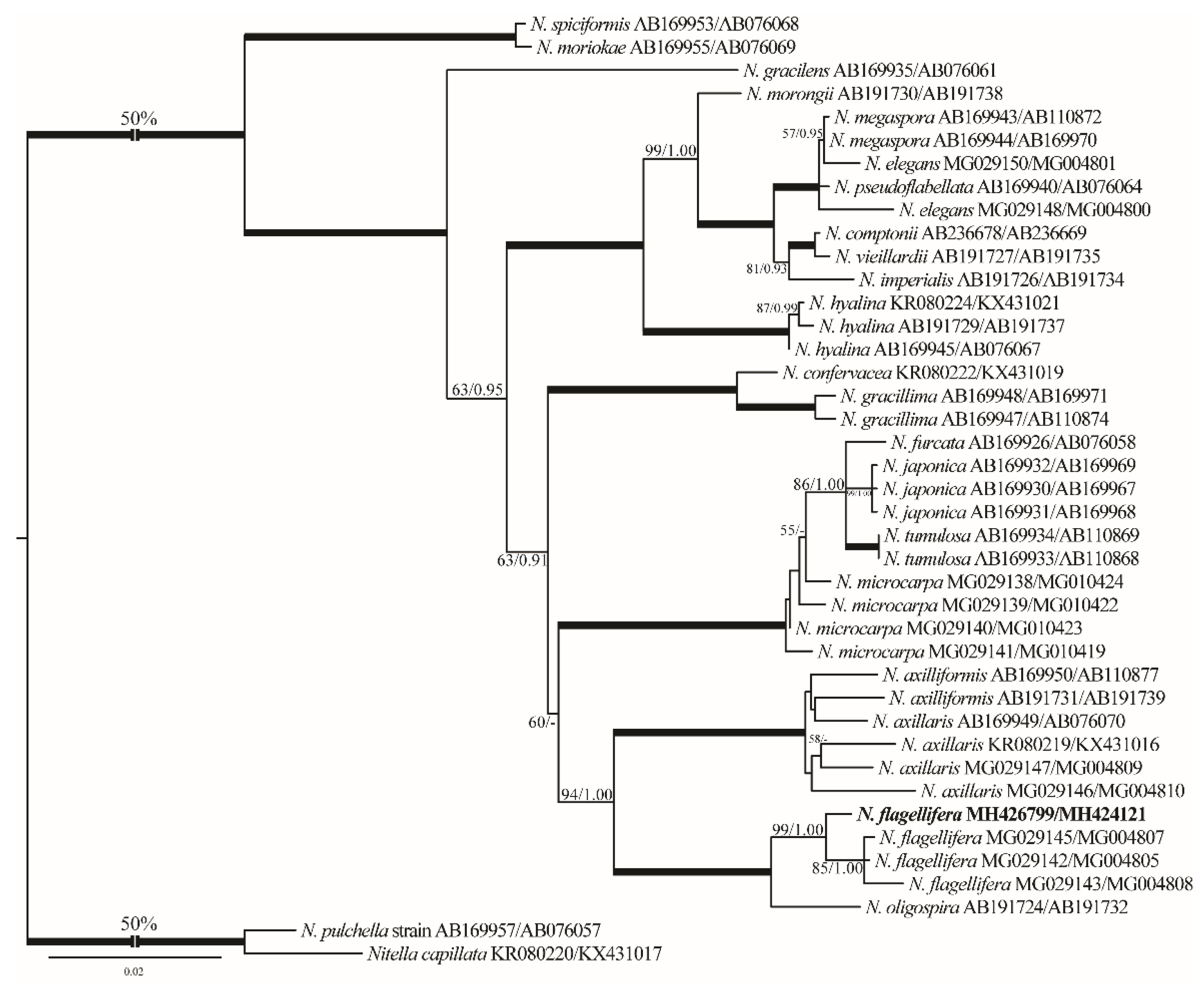 Plants 10 01157 g003 Plants 10 01157 g003