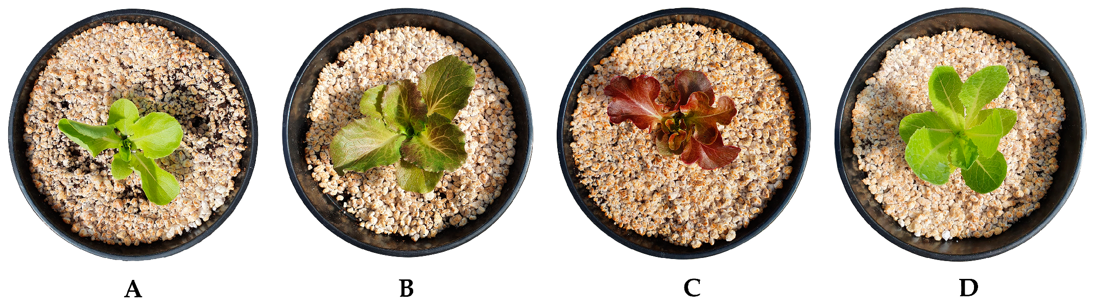 Plants 10 01179 g005 Plants 10 01179 g005