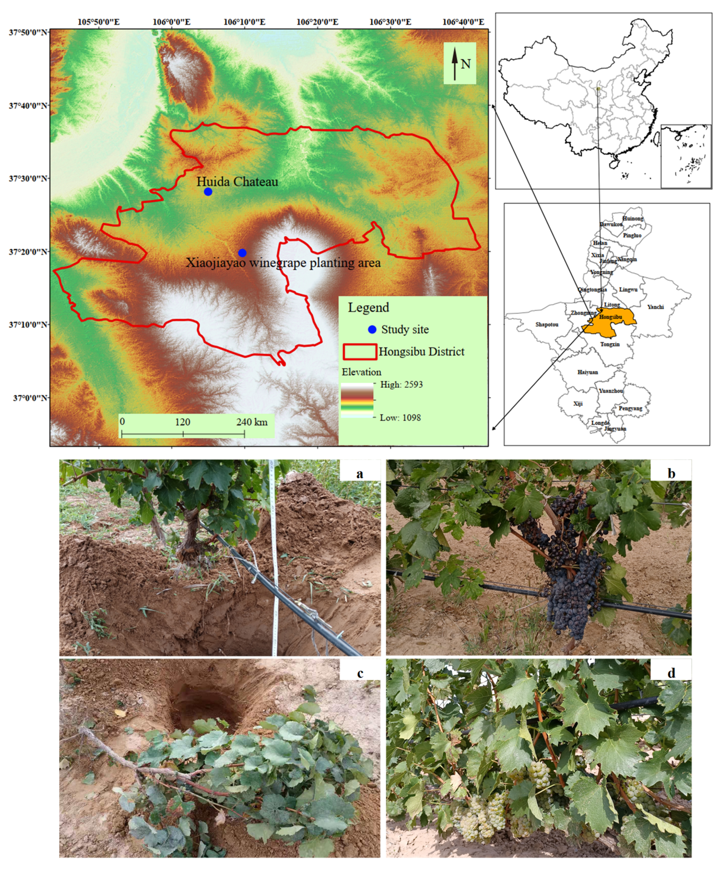 Plants 10 01199 g005 Plants 10 01199 g005