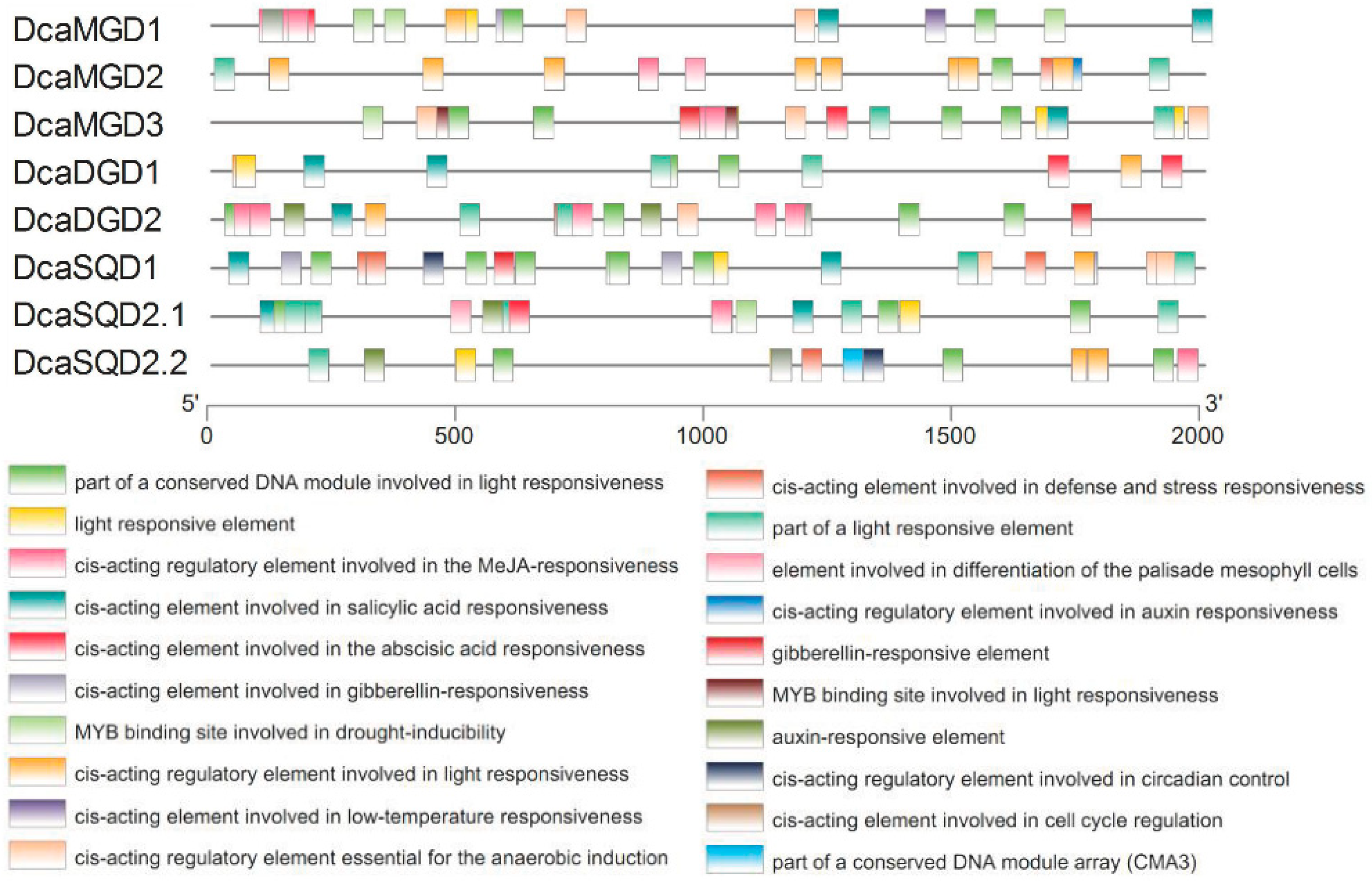 Plants 10 01204 g003 Plants 10 01204 g003