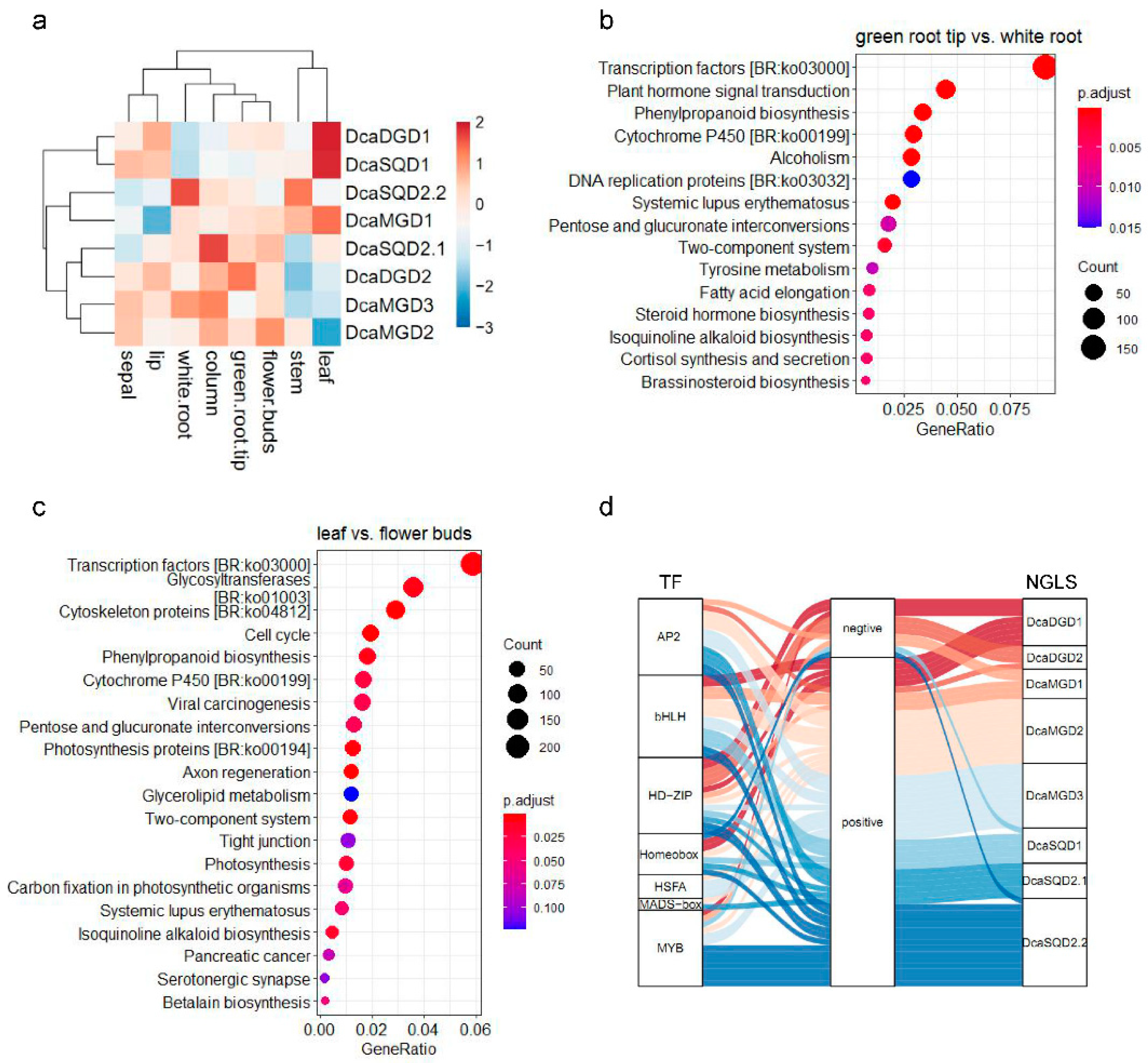 Plants 10 01204 g004 Plants 10 01204 g004