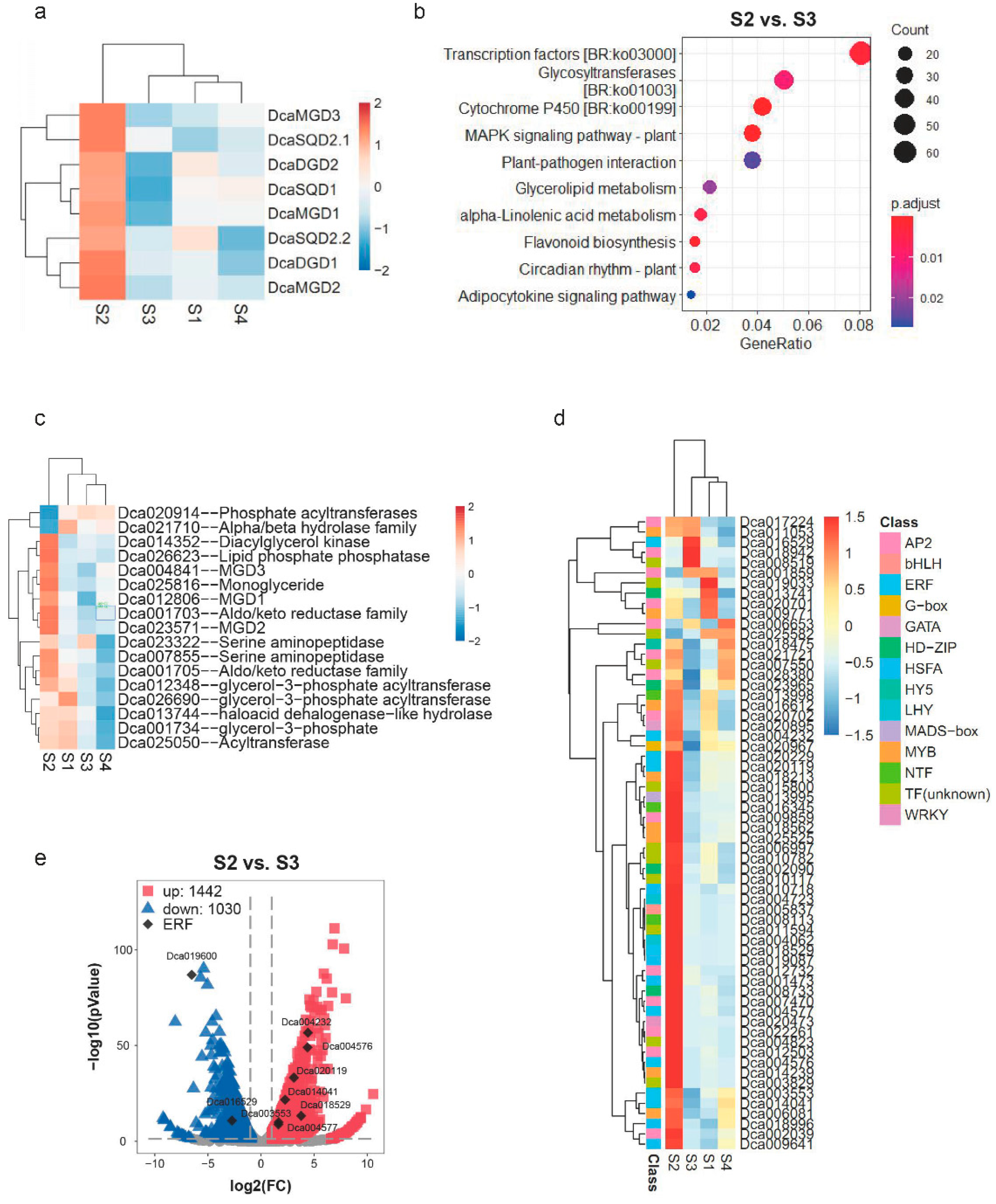 Plants 10 01204 g005 Plants 10 01204 g005