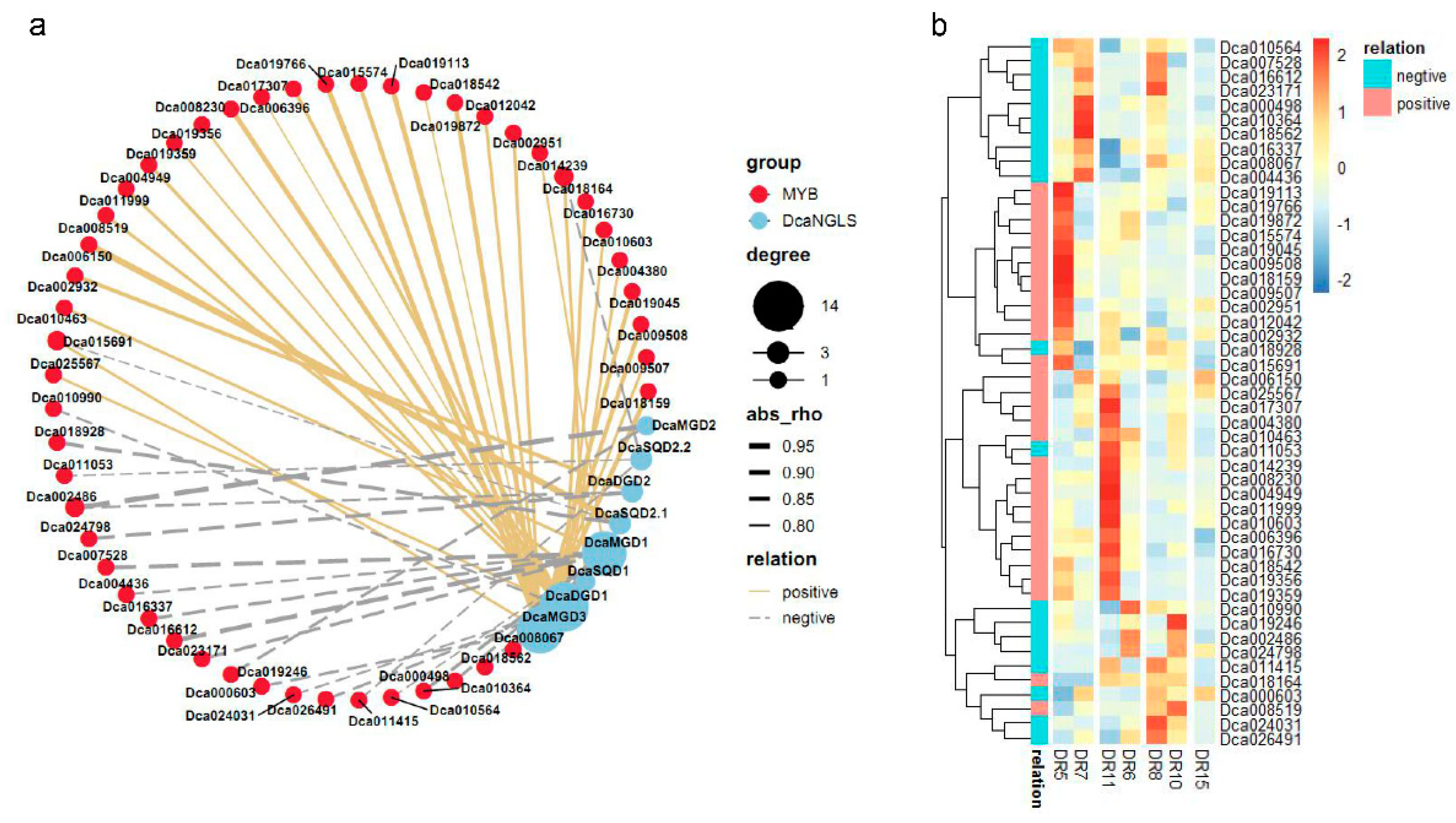 Plants 10 01204 g007 Plants 10 01204 g007