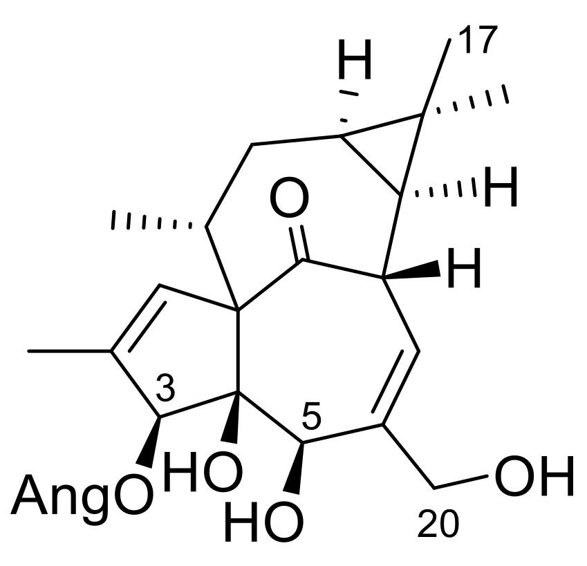 Plants 10 01206 g003